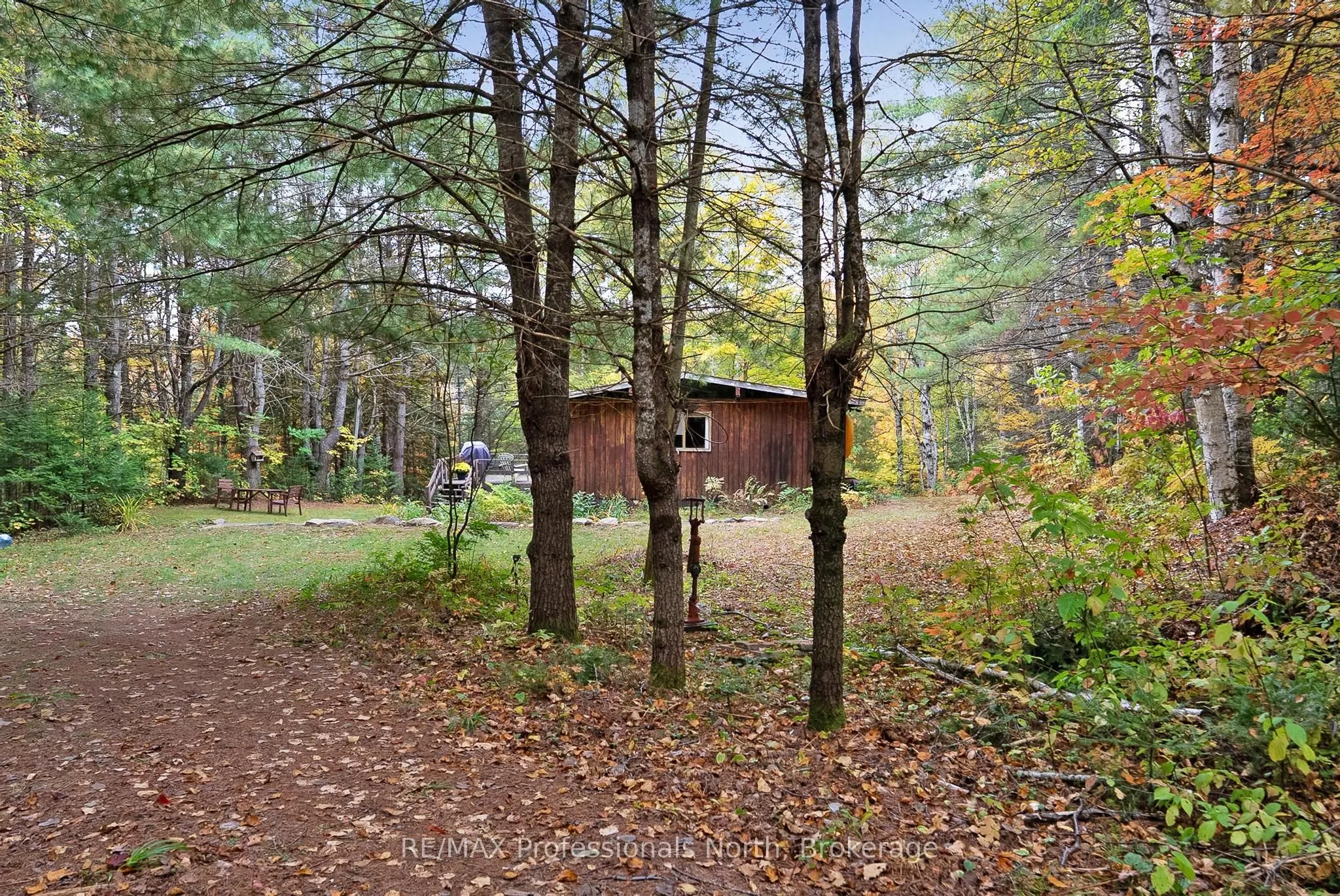 1086 Dragonfly Lane
