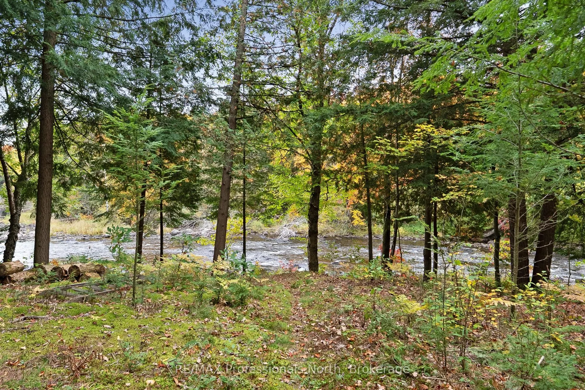1086 Dragonfly Lane