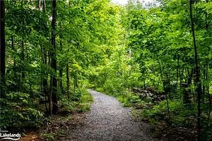 3421 Grandview Forest Hill Drive #5
