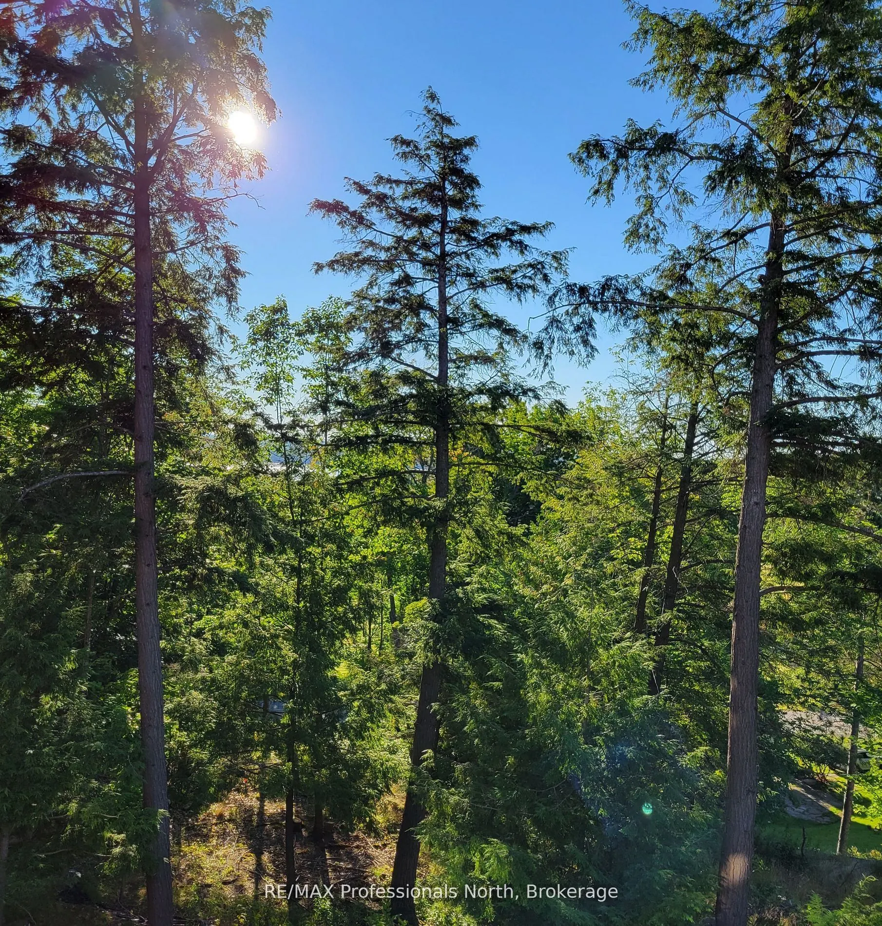 3 Tree Tops Lane #202
