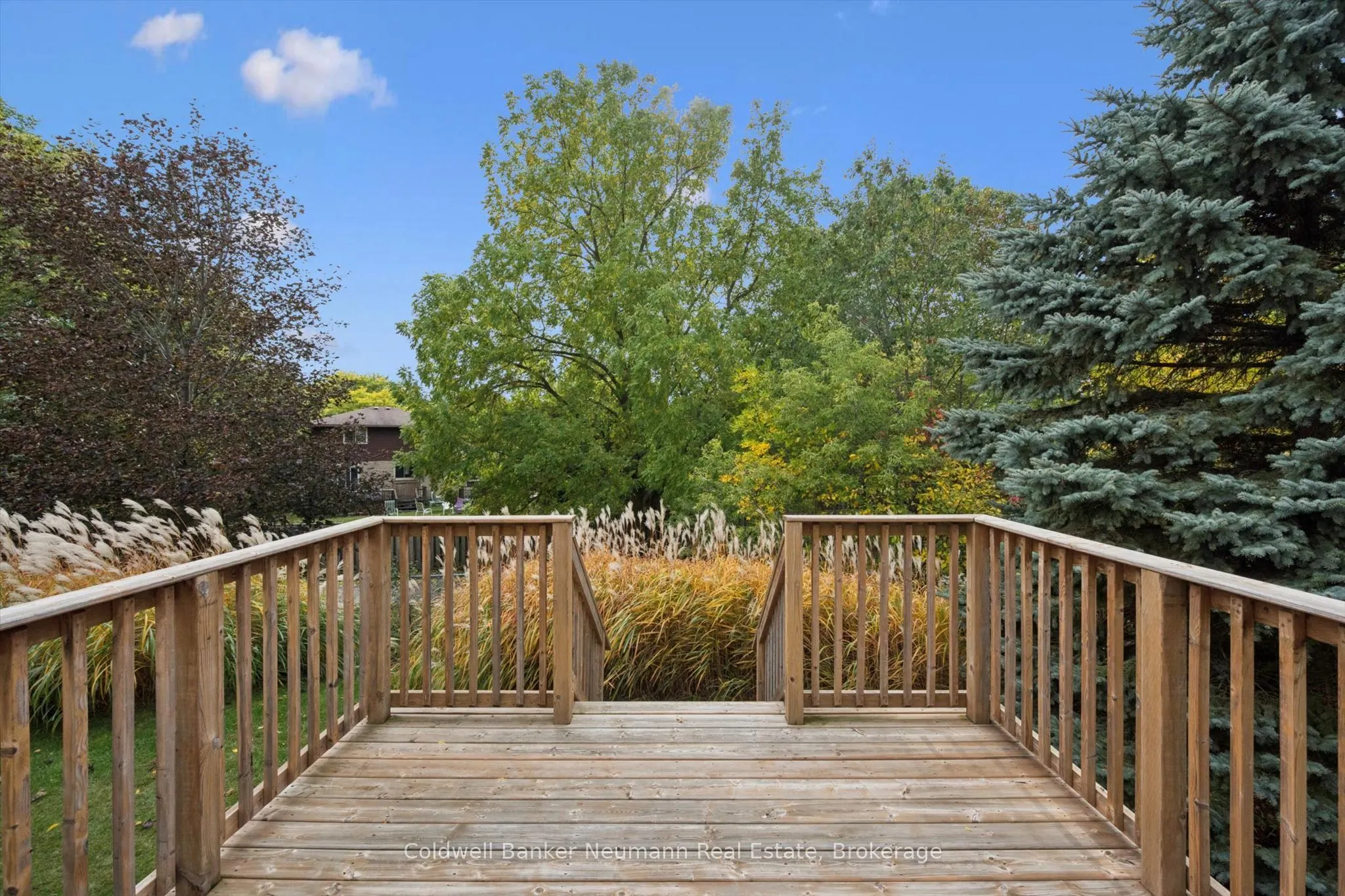 941 Gordon Street #20