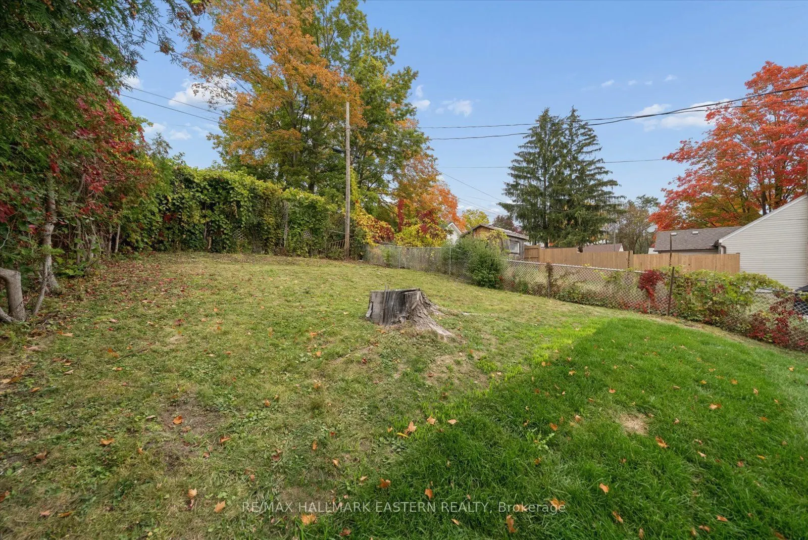 482 Wellington Street W