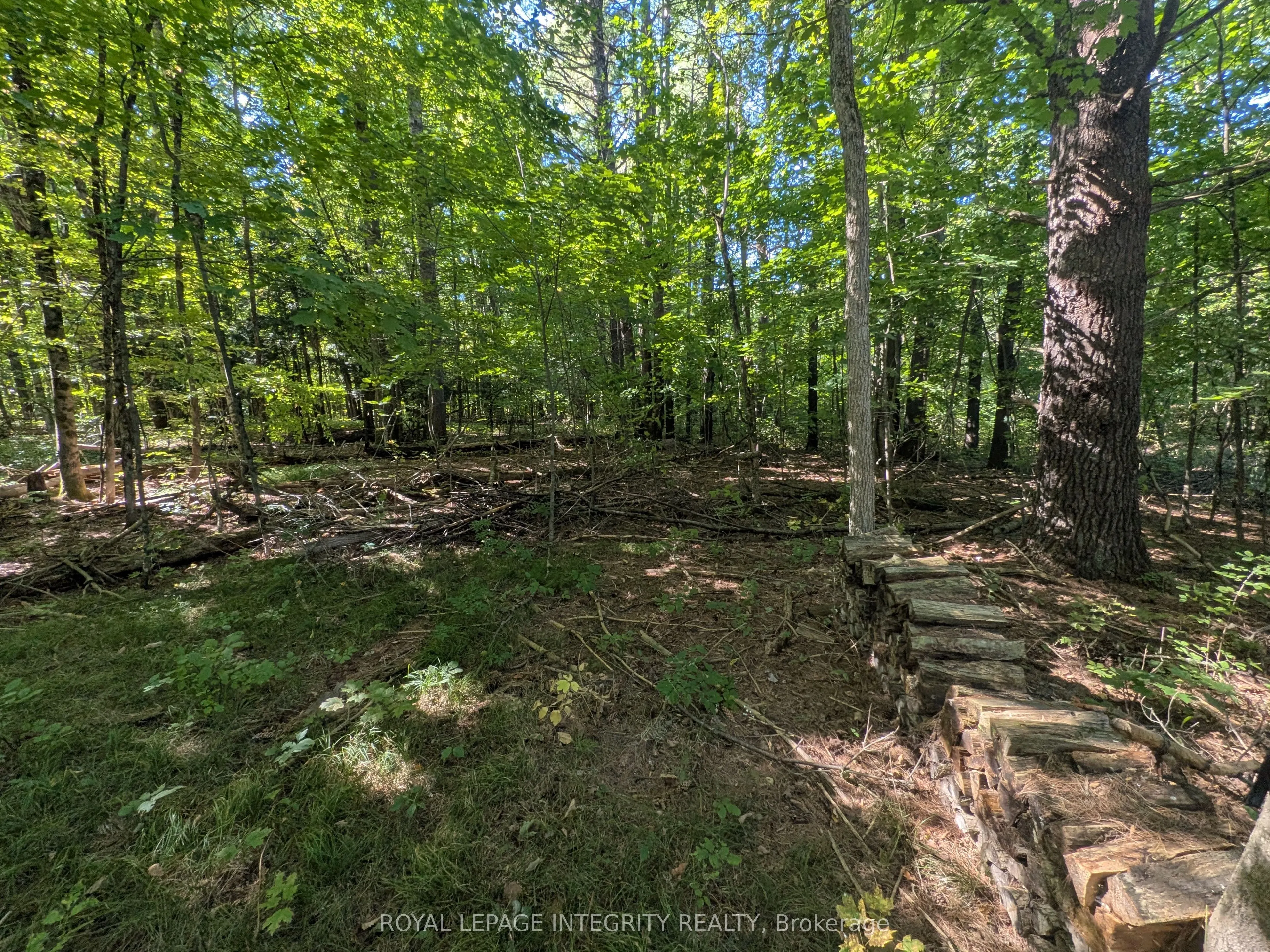 229 Norris Road