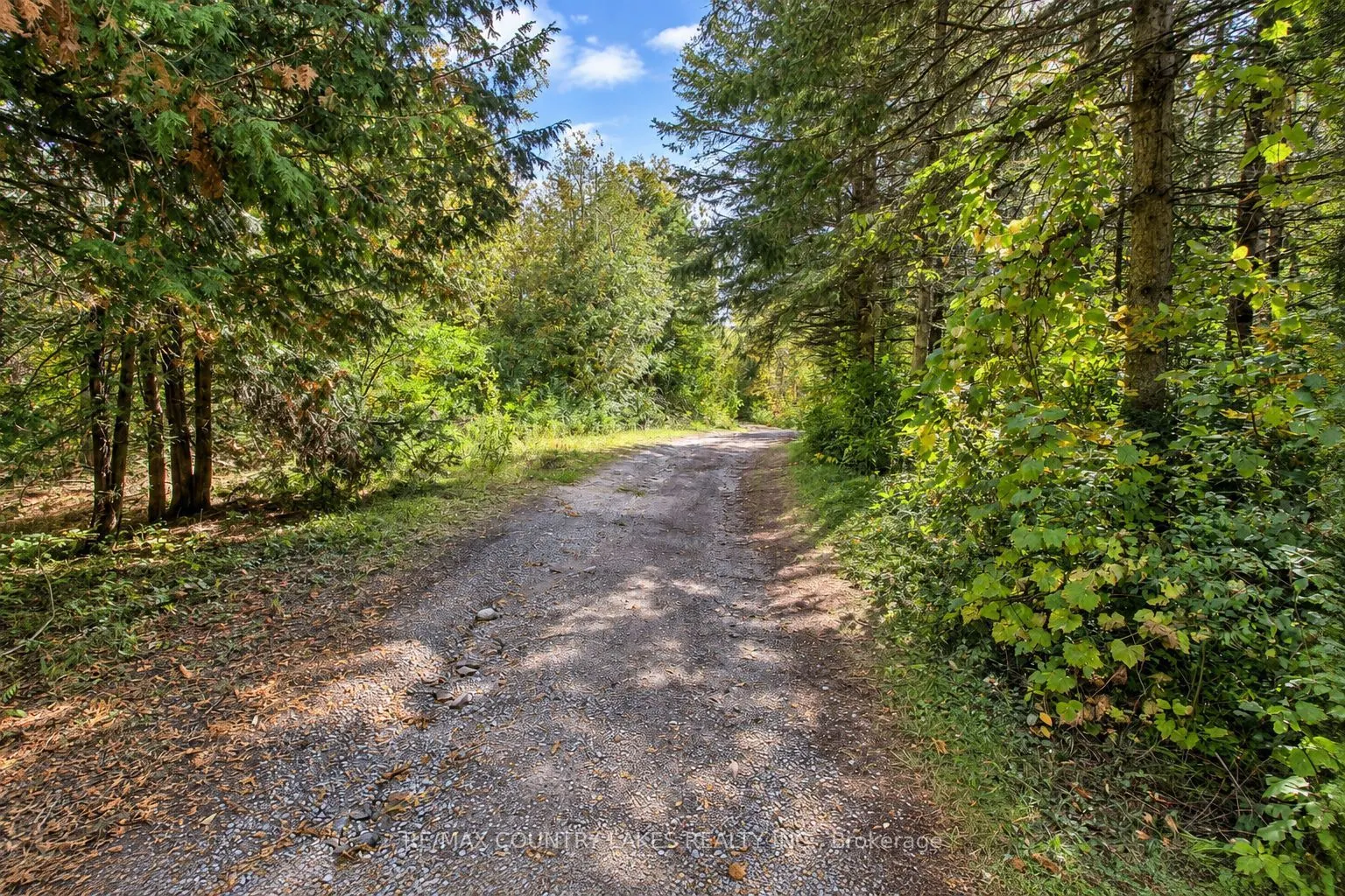 1945 County Road 48