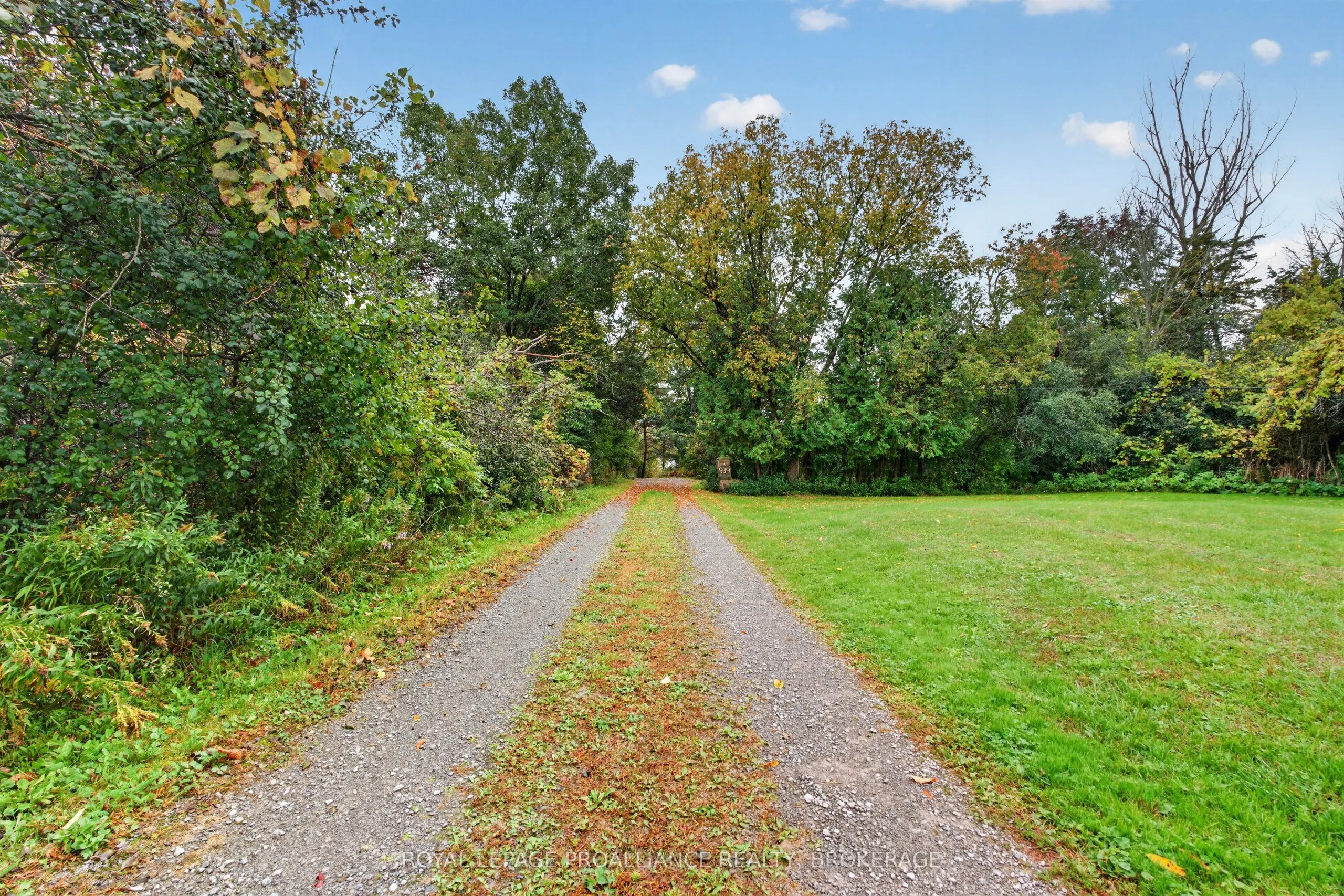 935 McKnight Road