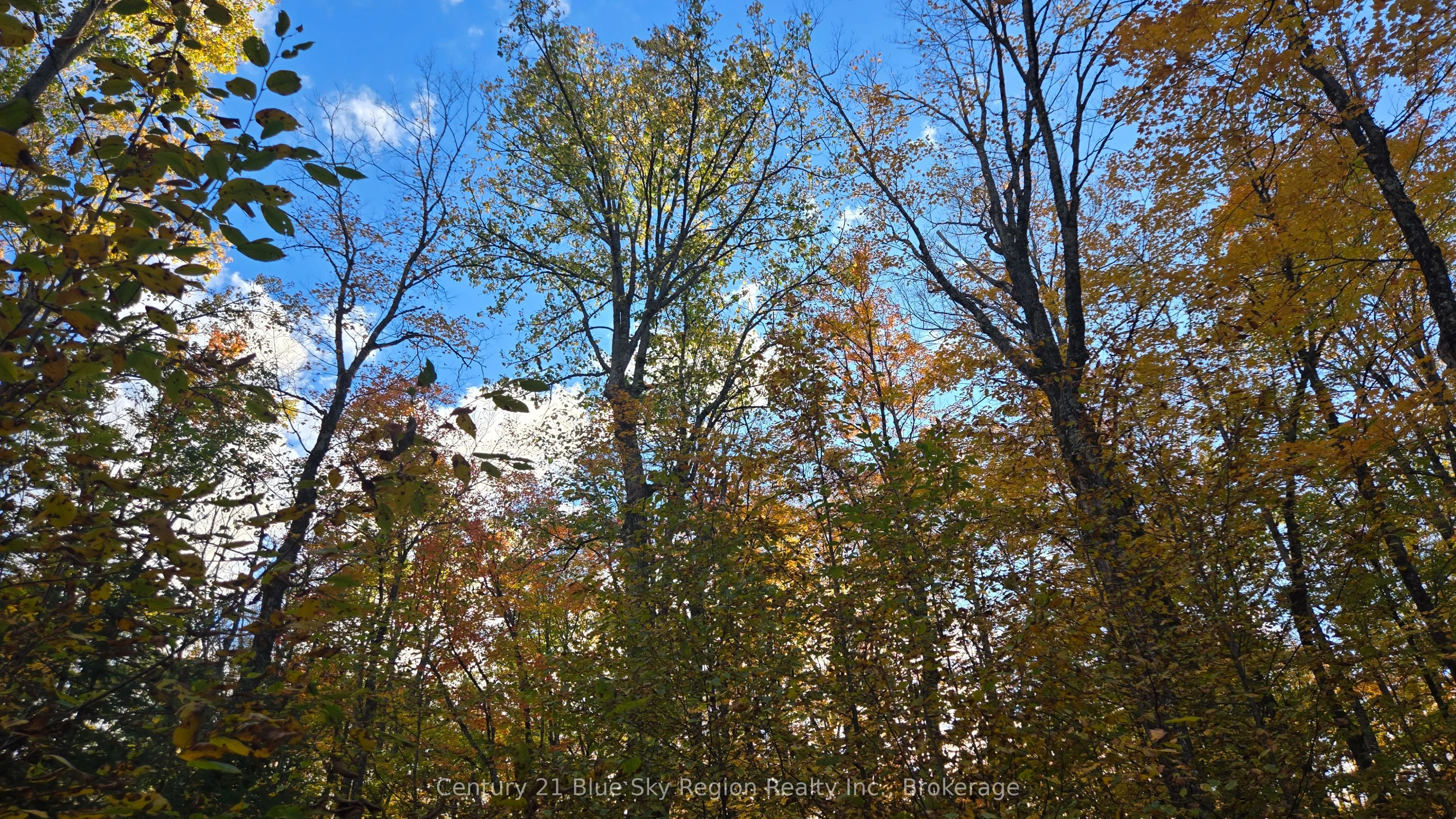 390 WOLFE LAKE Road