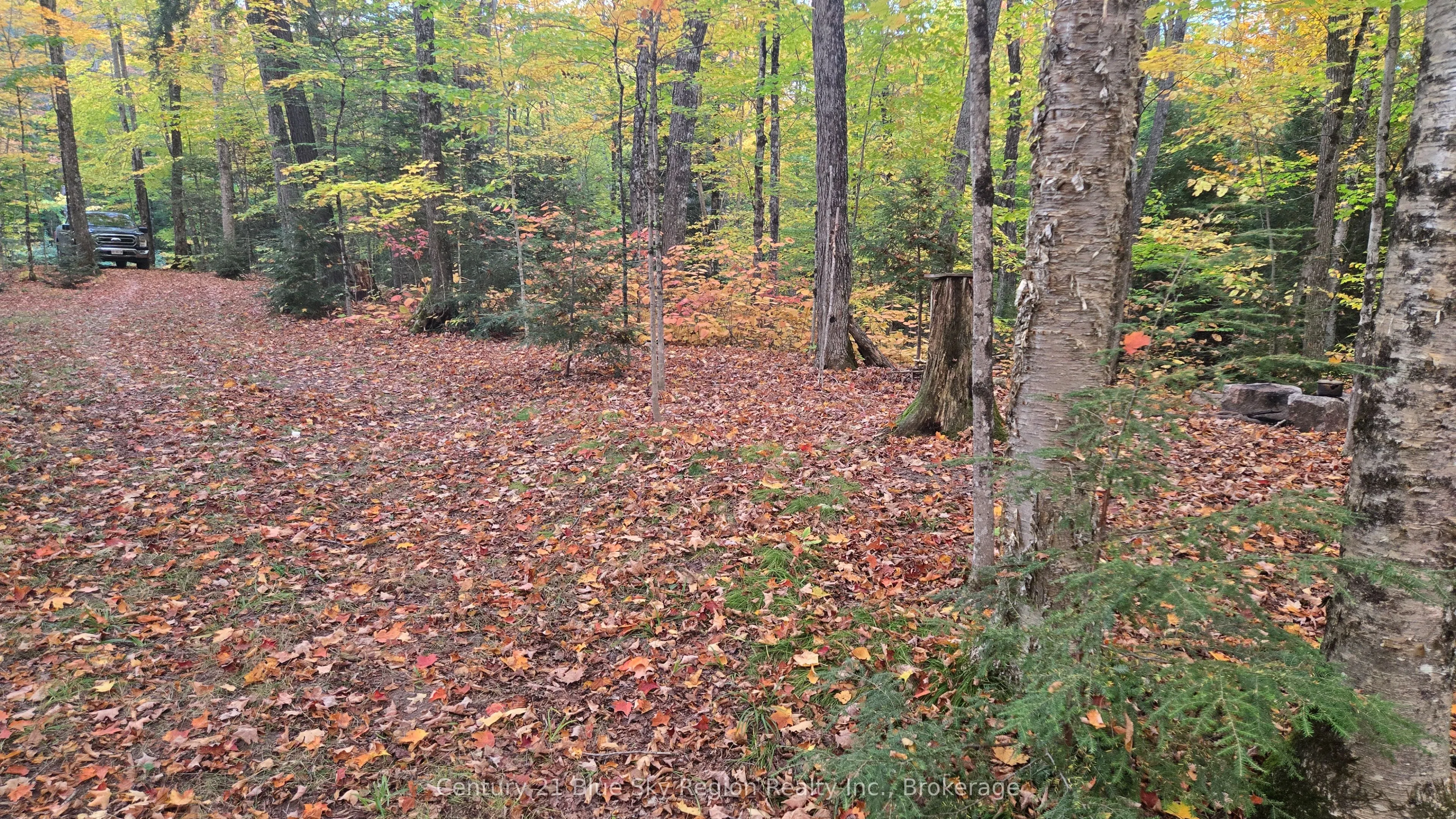 390 WOLFE LAKE Road
