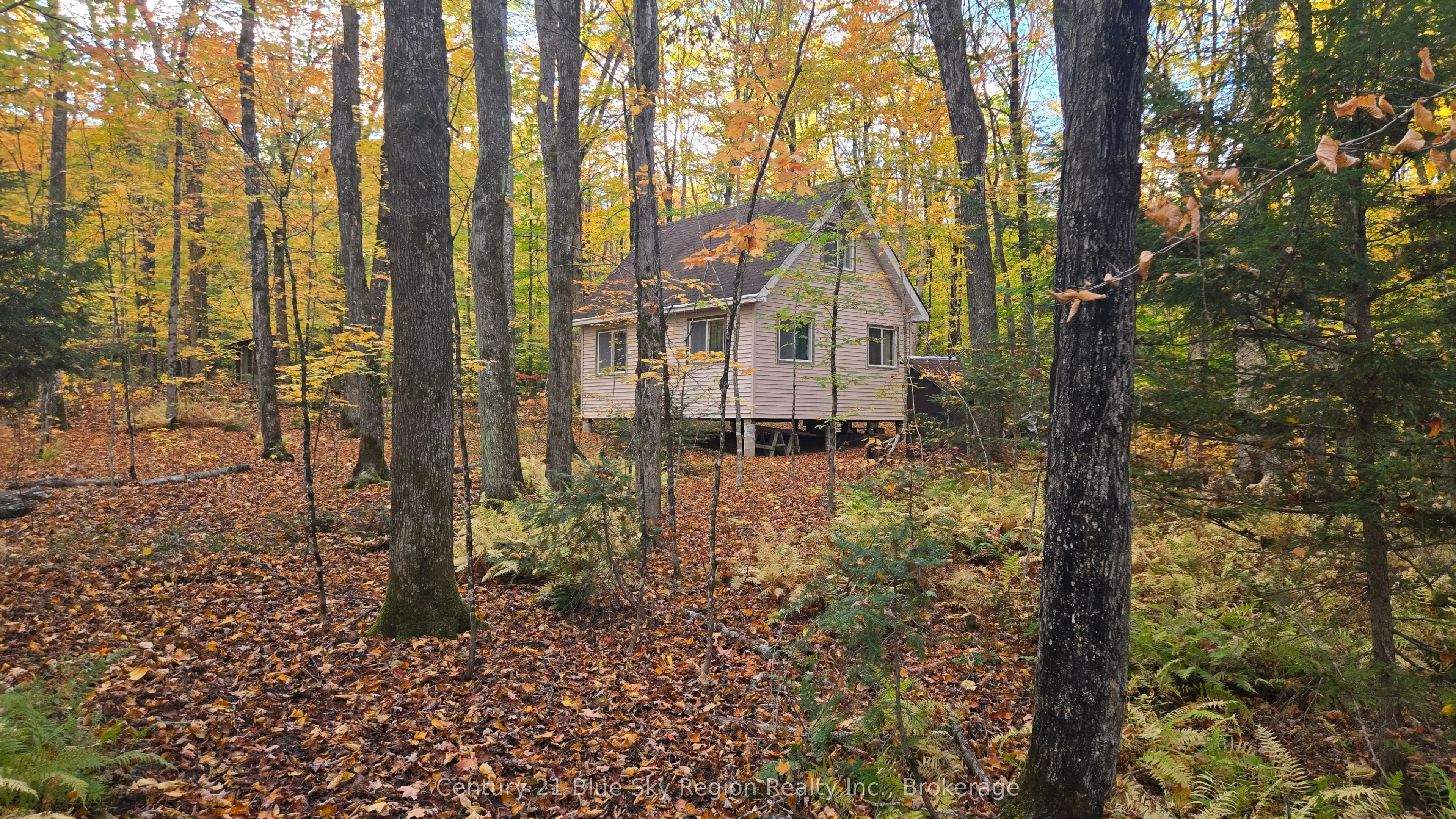 390 WOLFE LAKE Road