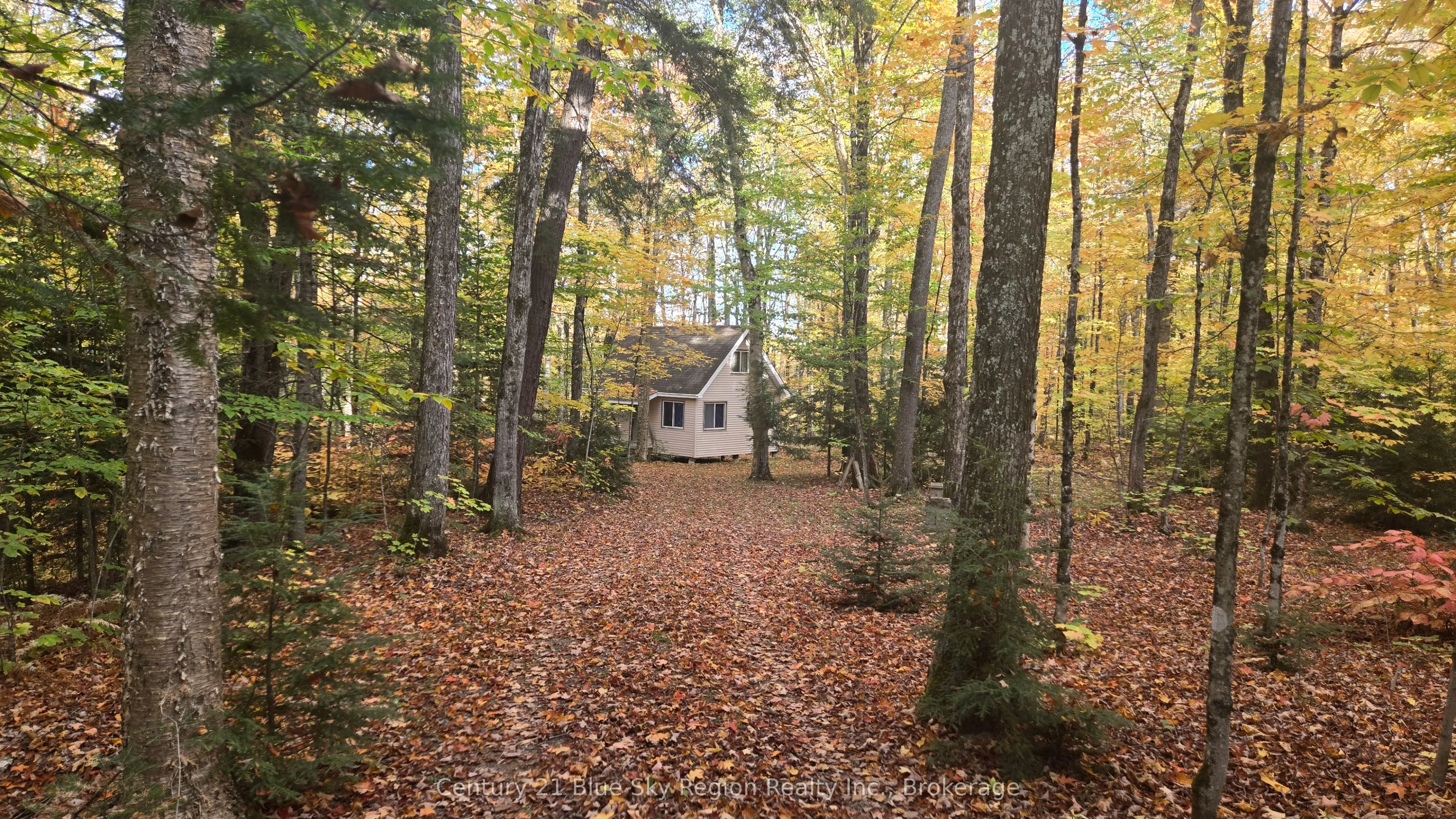 390 WOLFE LAKE Road