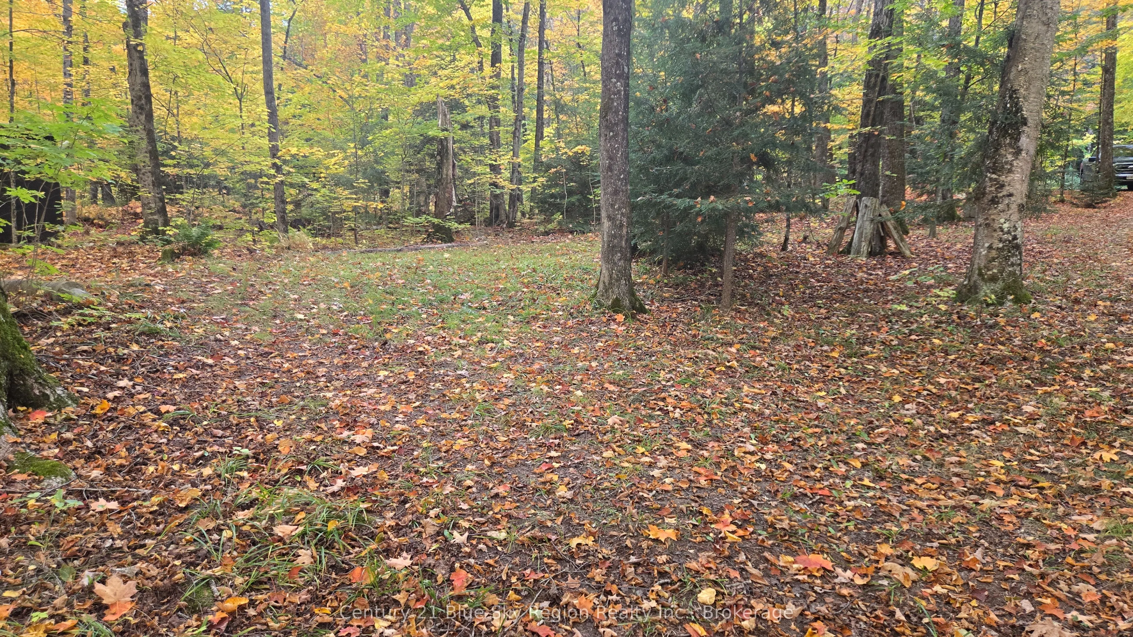 390 WOLFE LAKE Road