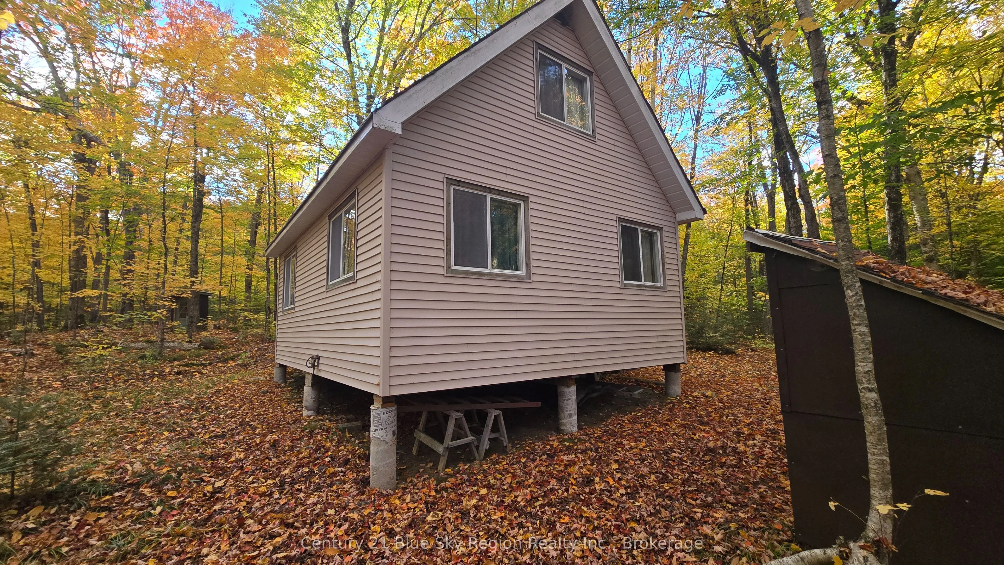 390 WOLFE LAKE Road