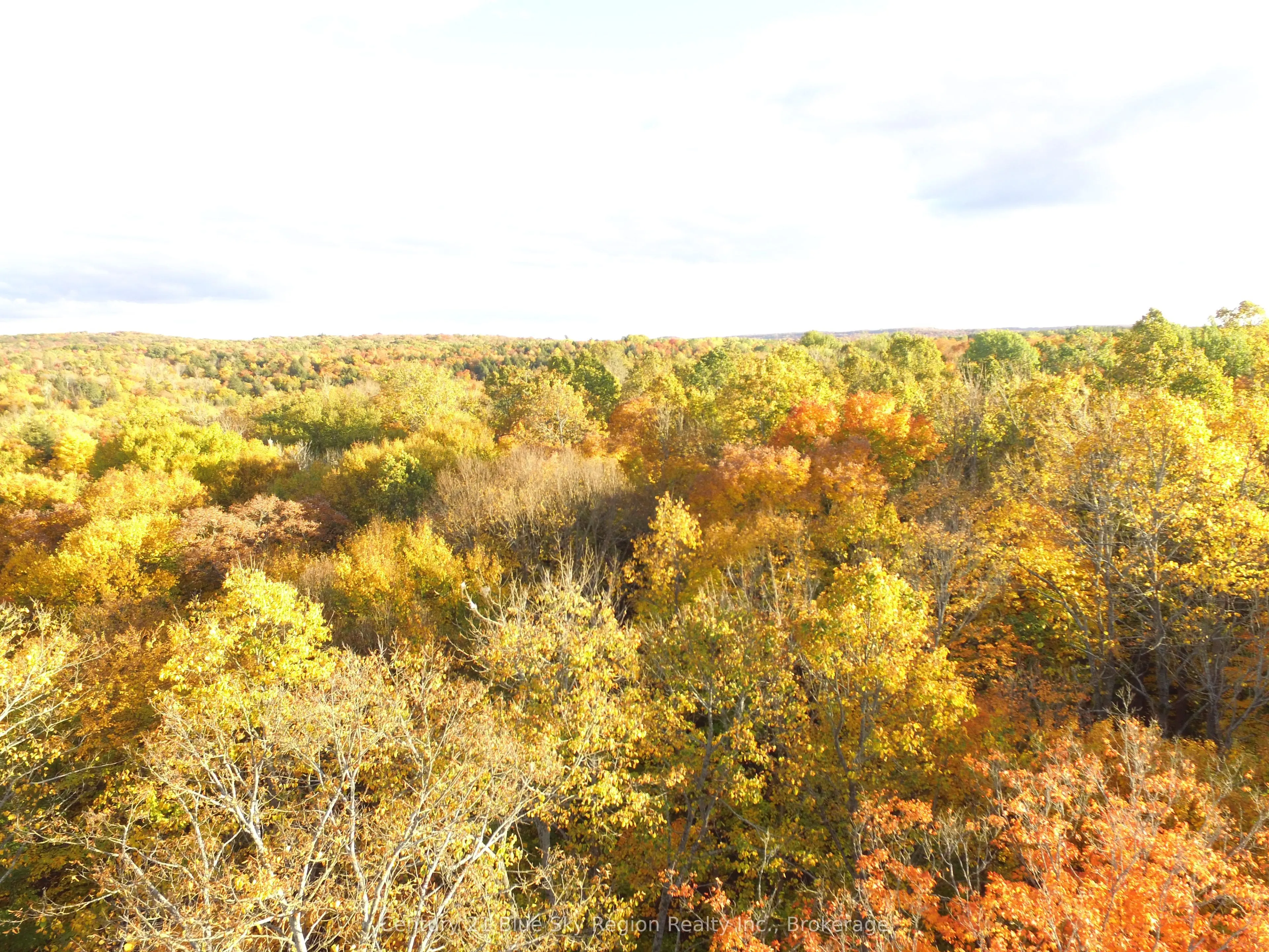 390 WOLFE LAKE Road