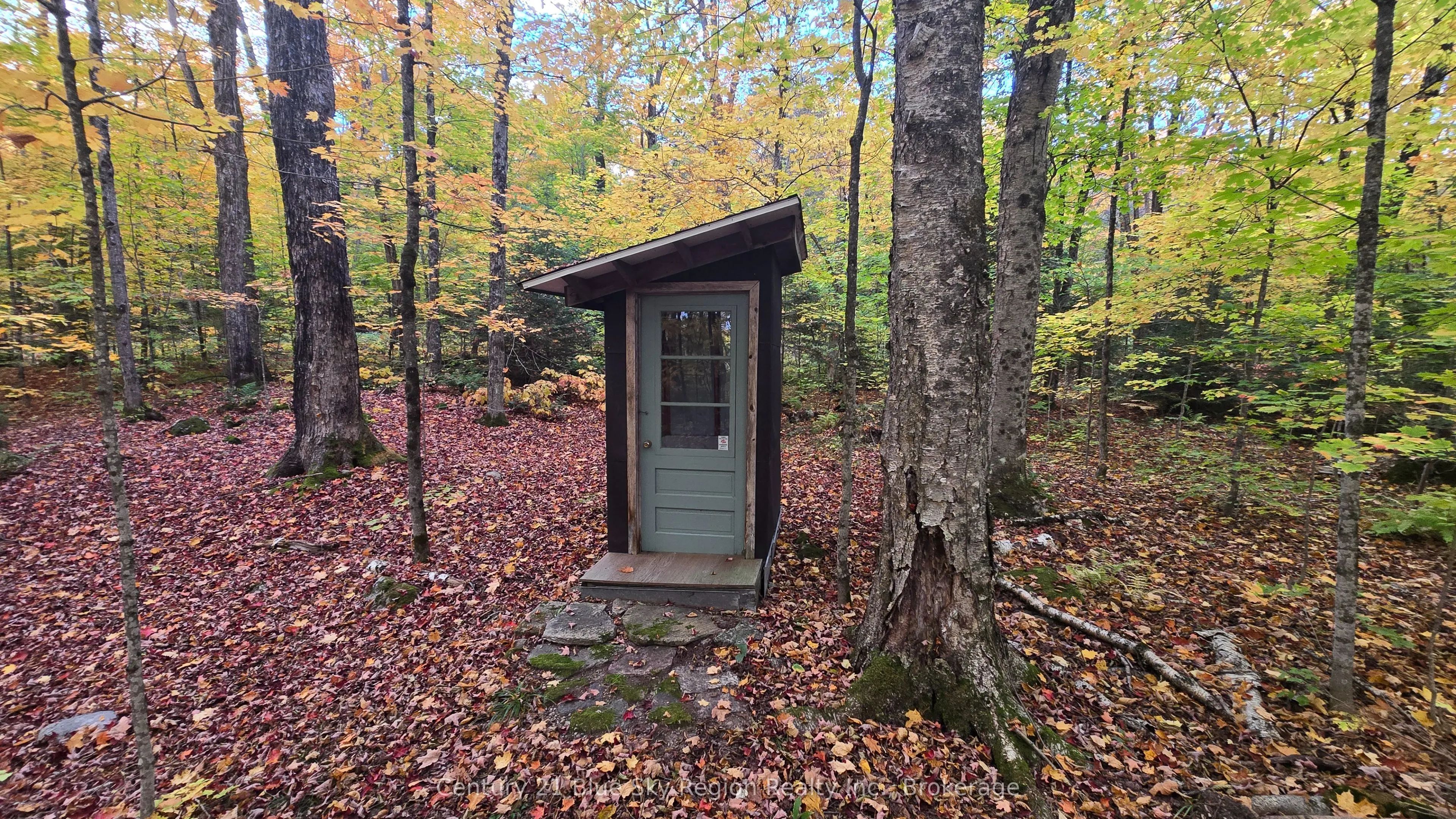 390 WOLFE LAKE Road
