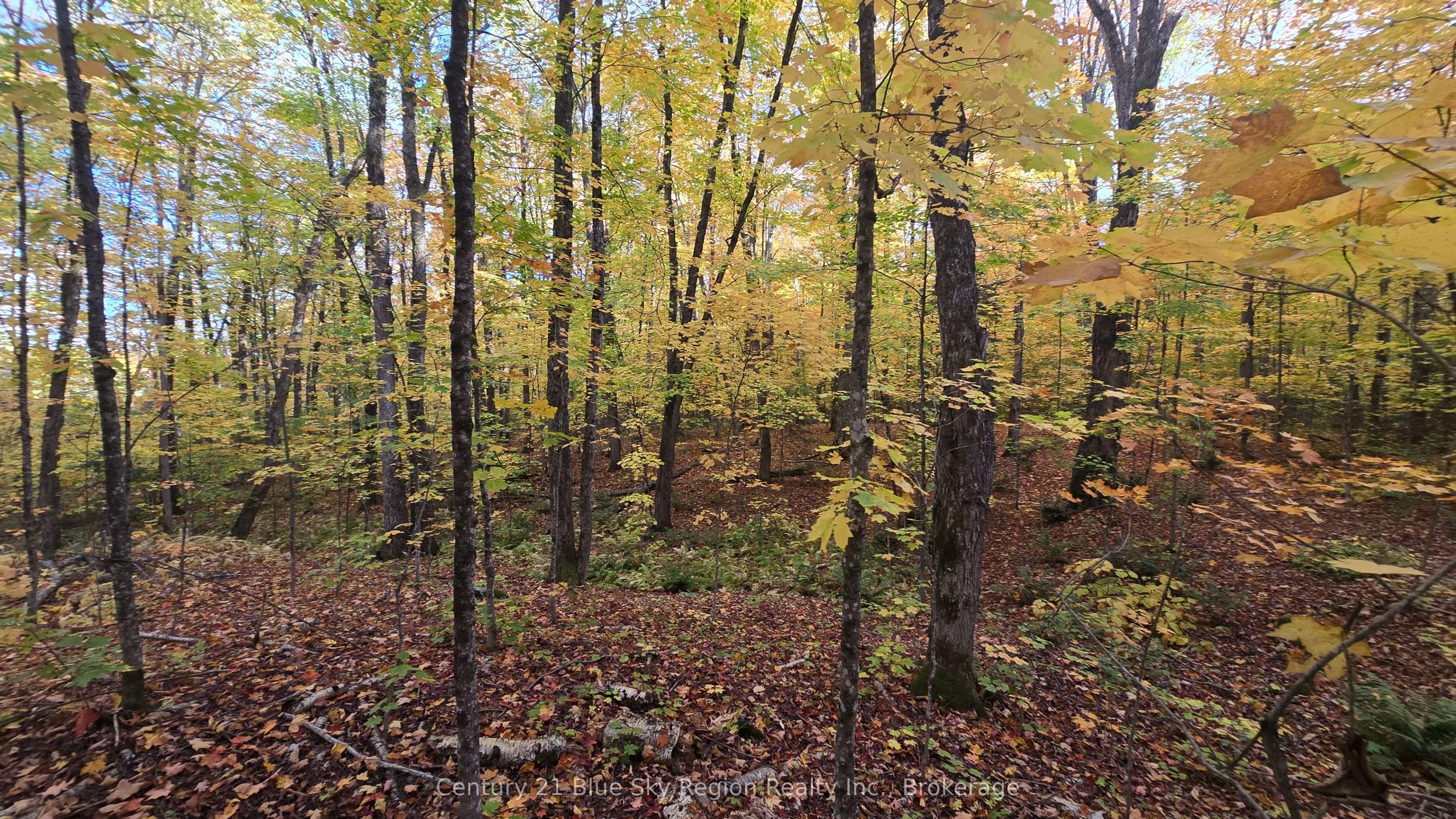 390 WOLFE LAKE Road