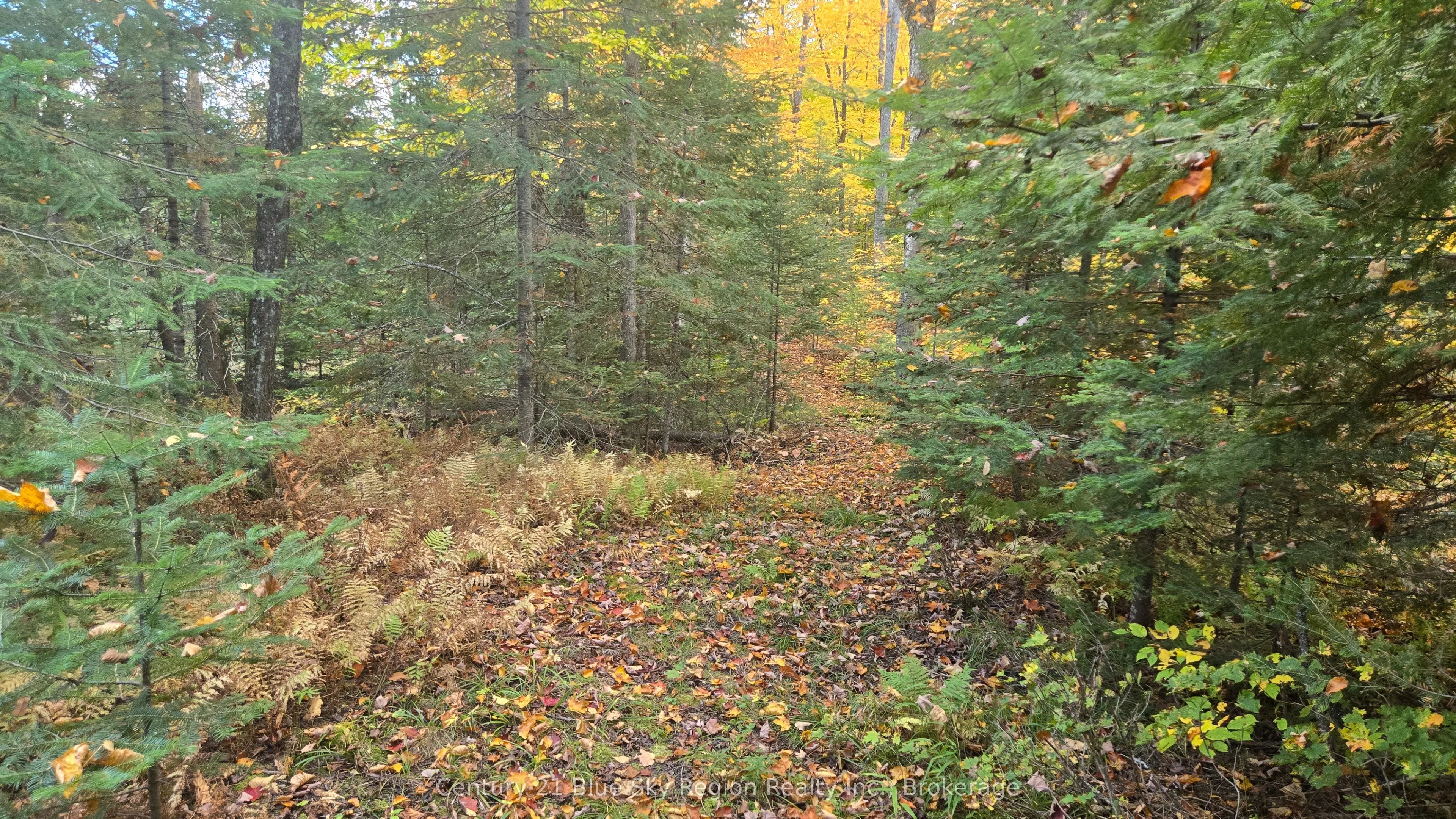 390 WOLFE LAKE Road