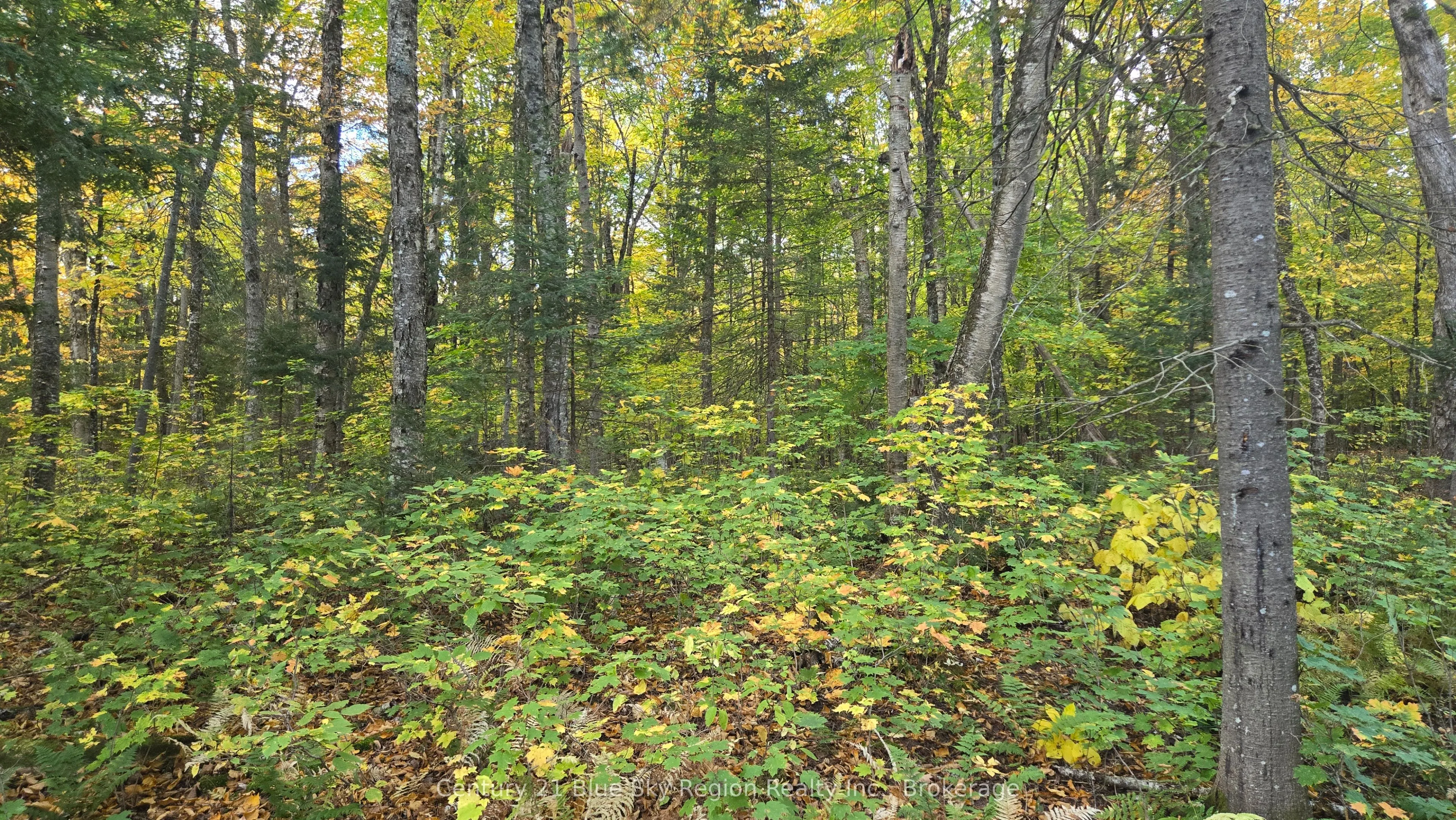 390 WOLFE LAKE Road