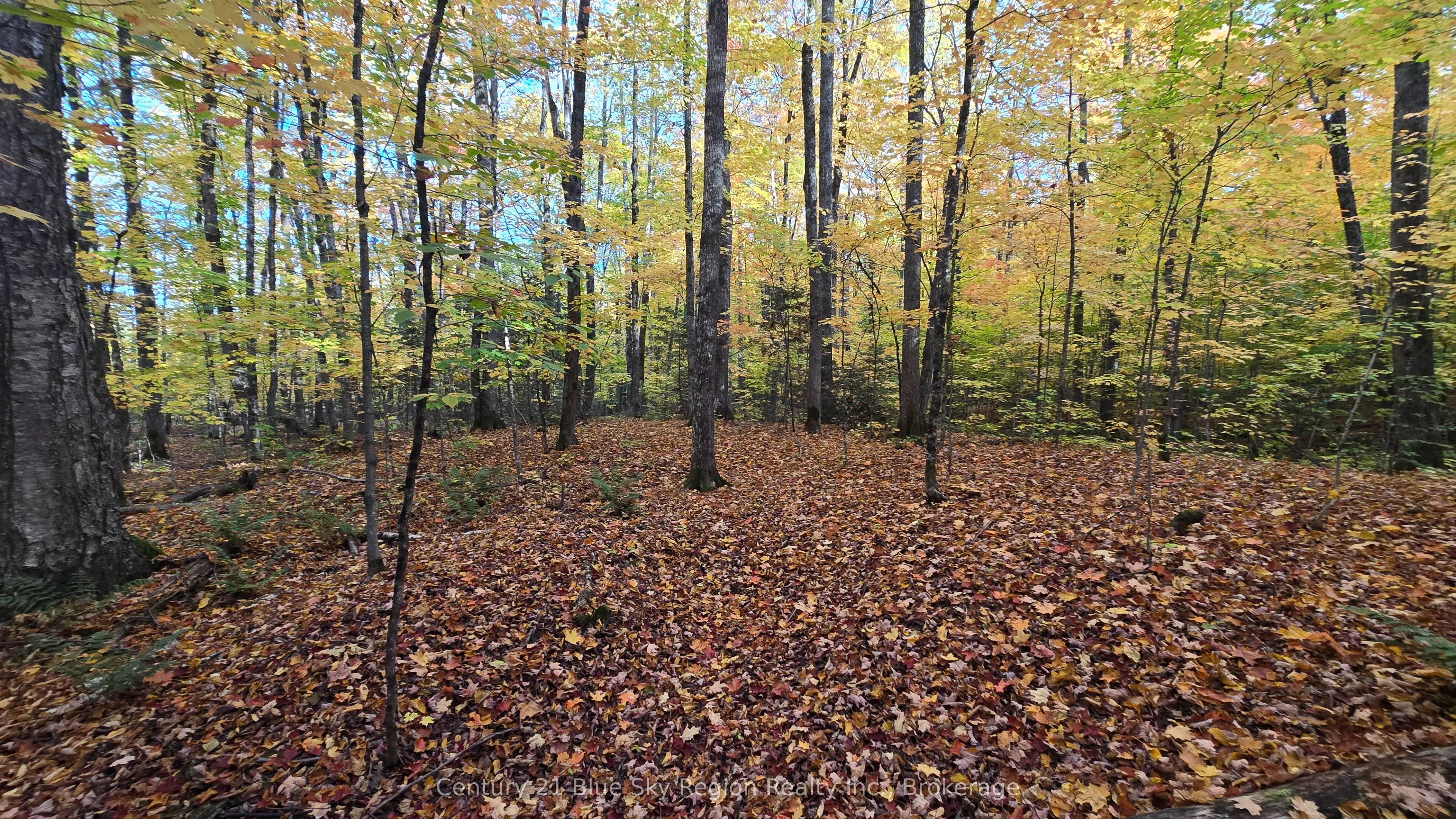 390 WOLFE LAKE Road