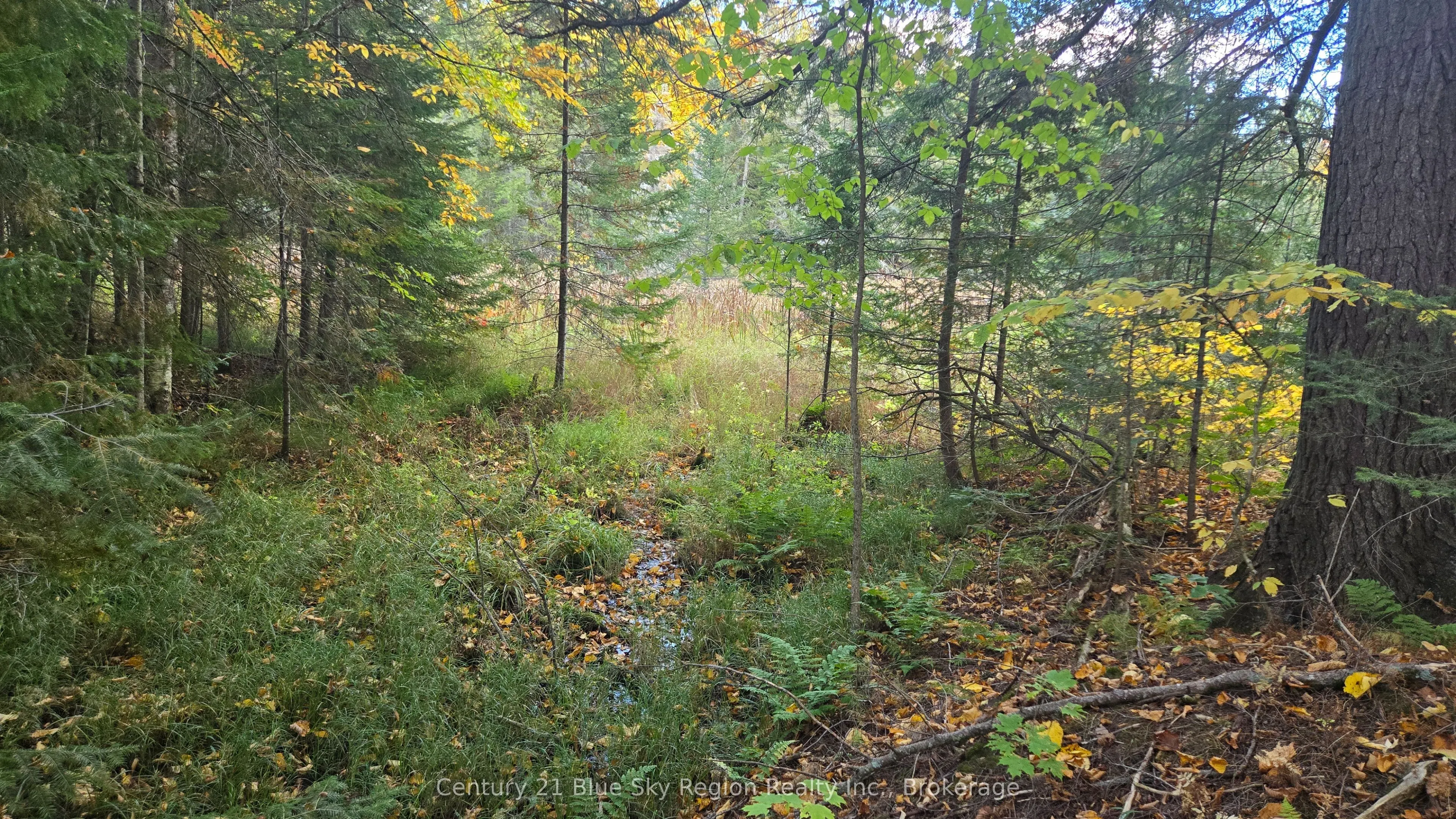 390 WOLFE LAKE Road
