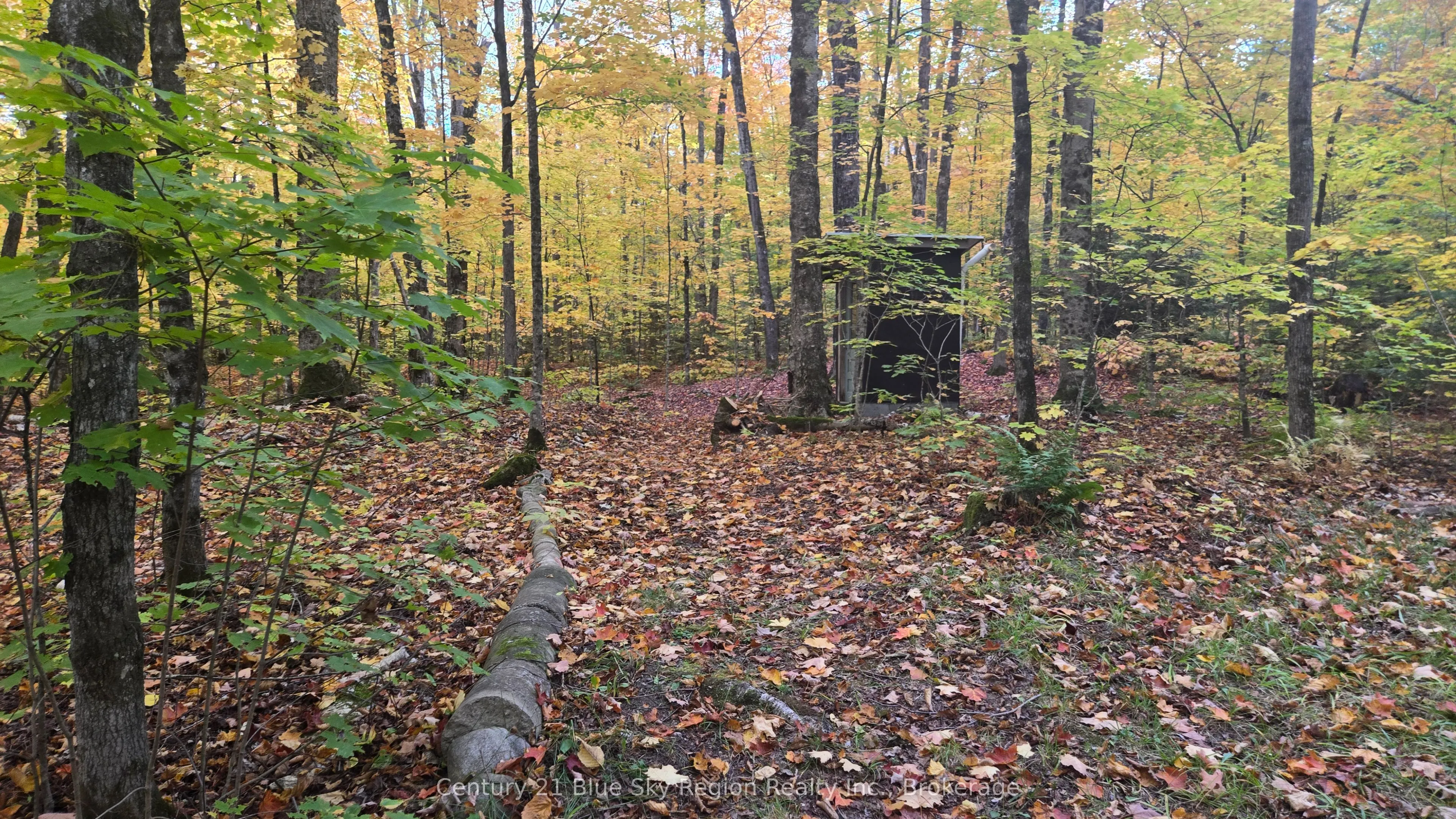 390 WOLFE LAKE Road