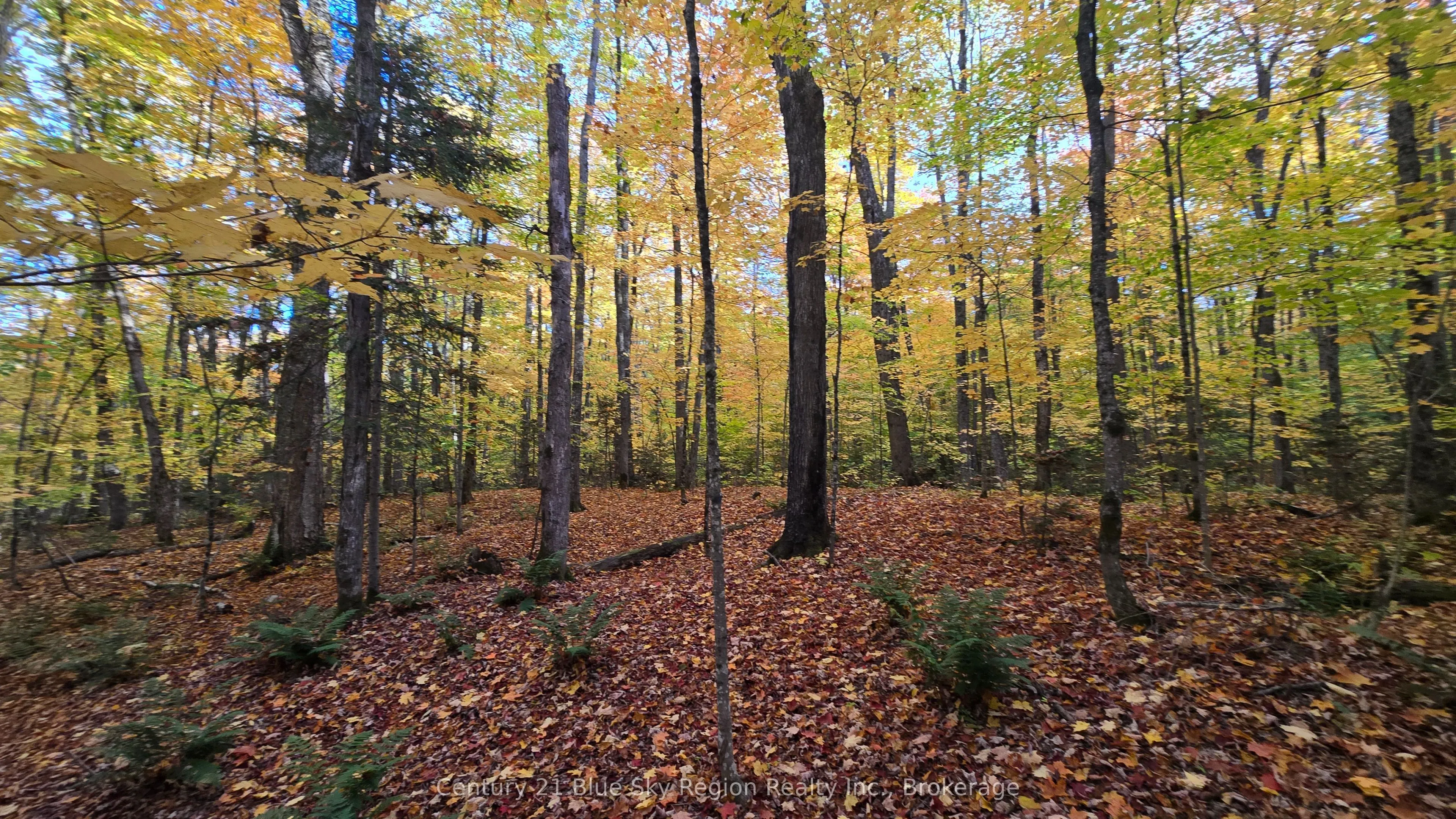 390 WOLFE LAKE Road
