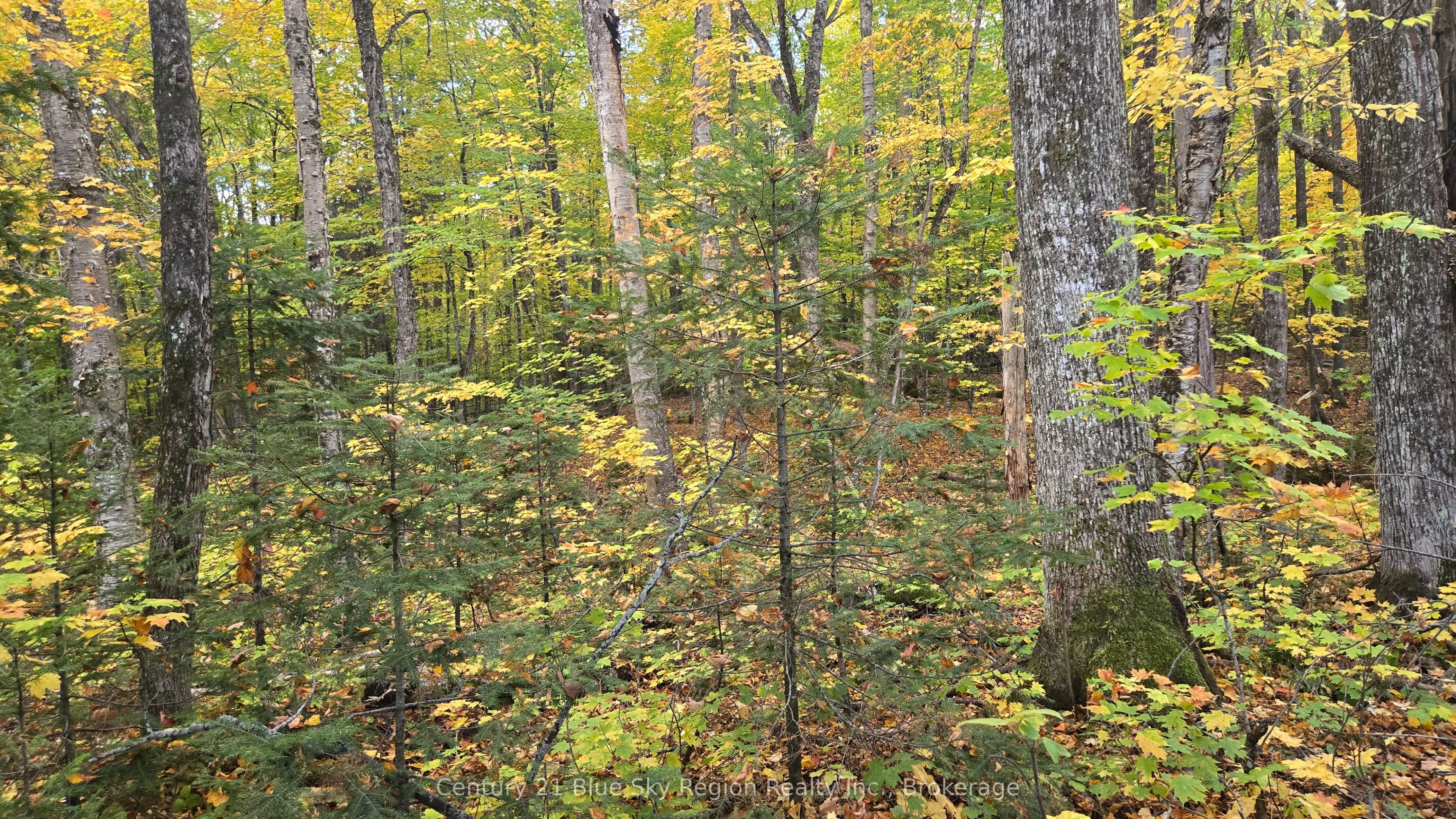 390 WOLFE LAKE Road