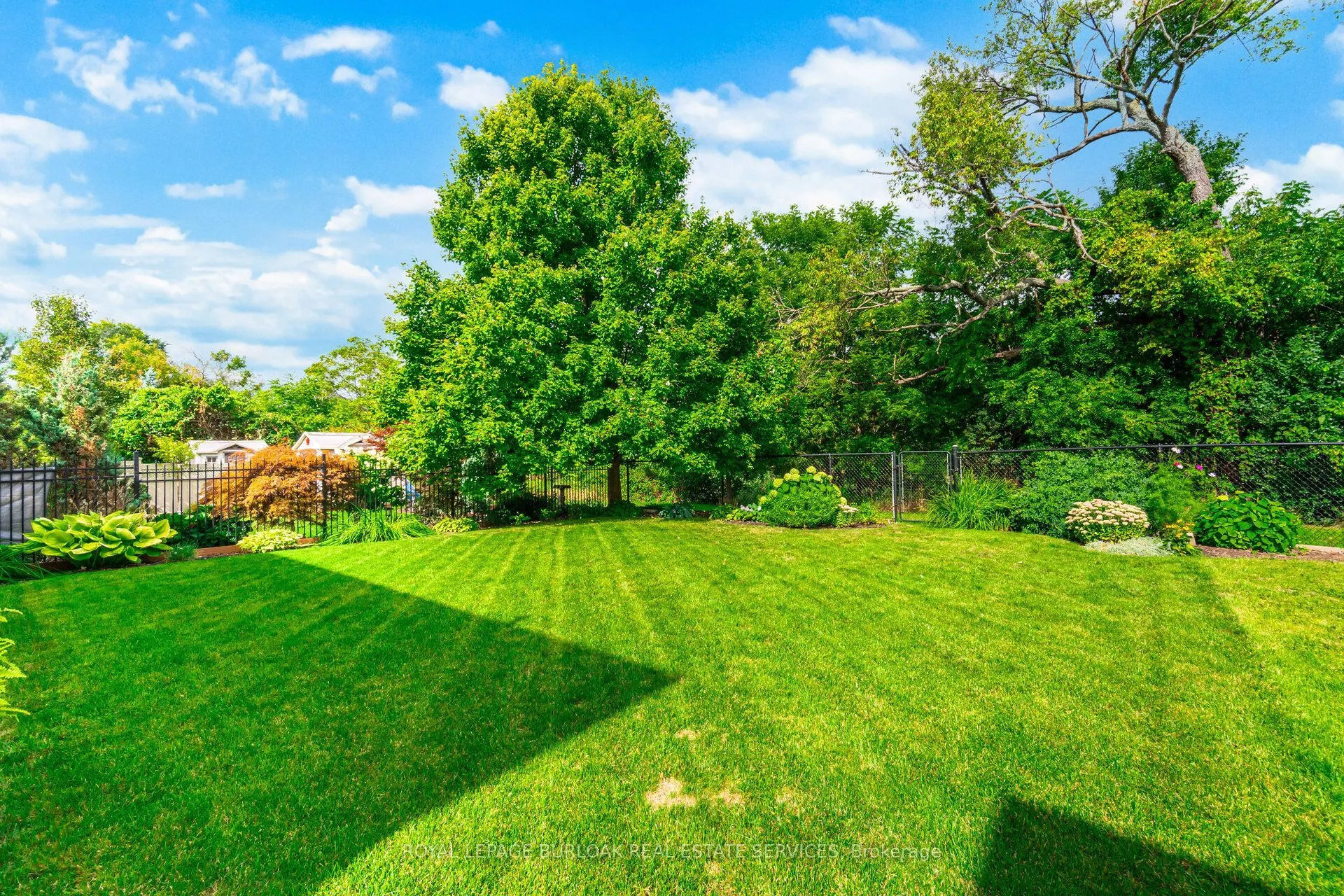 84 Meadowbank Drive