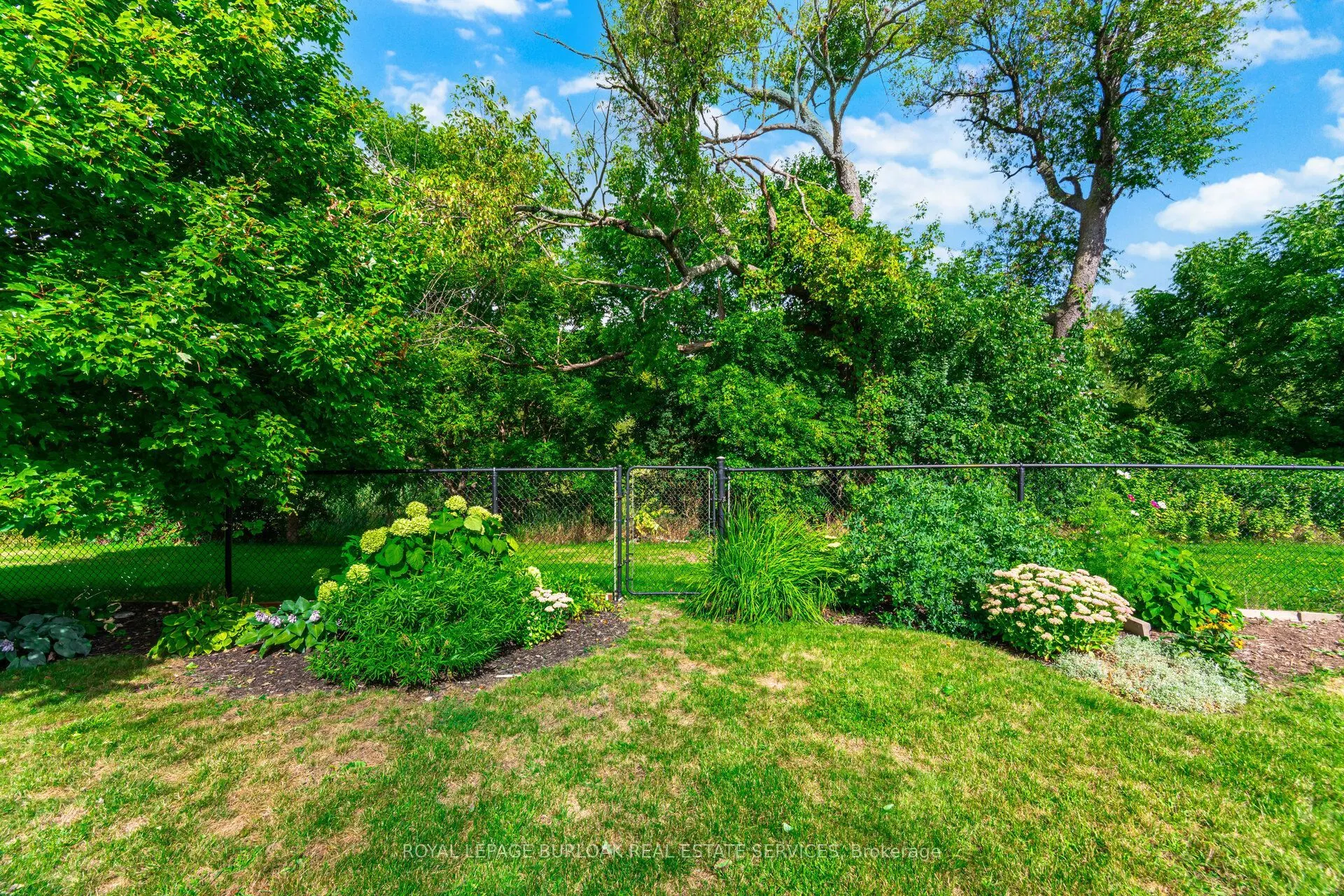 84 Meadowbank Drive