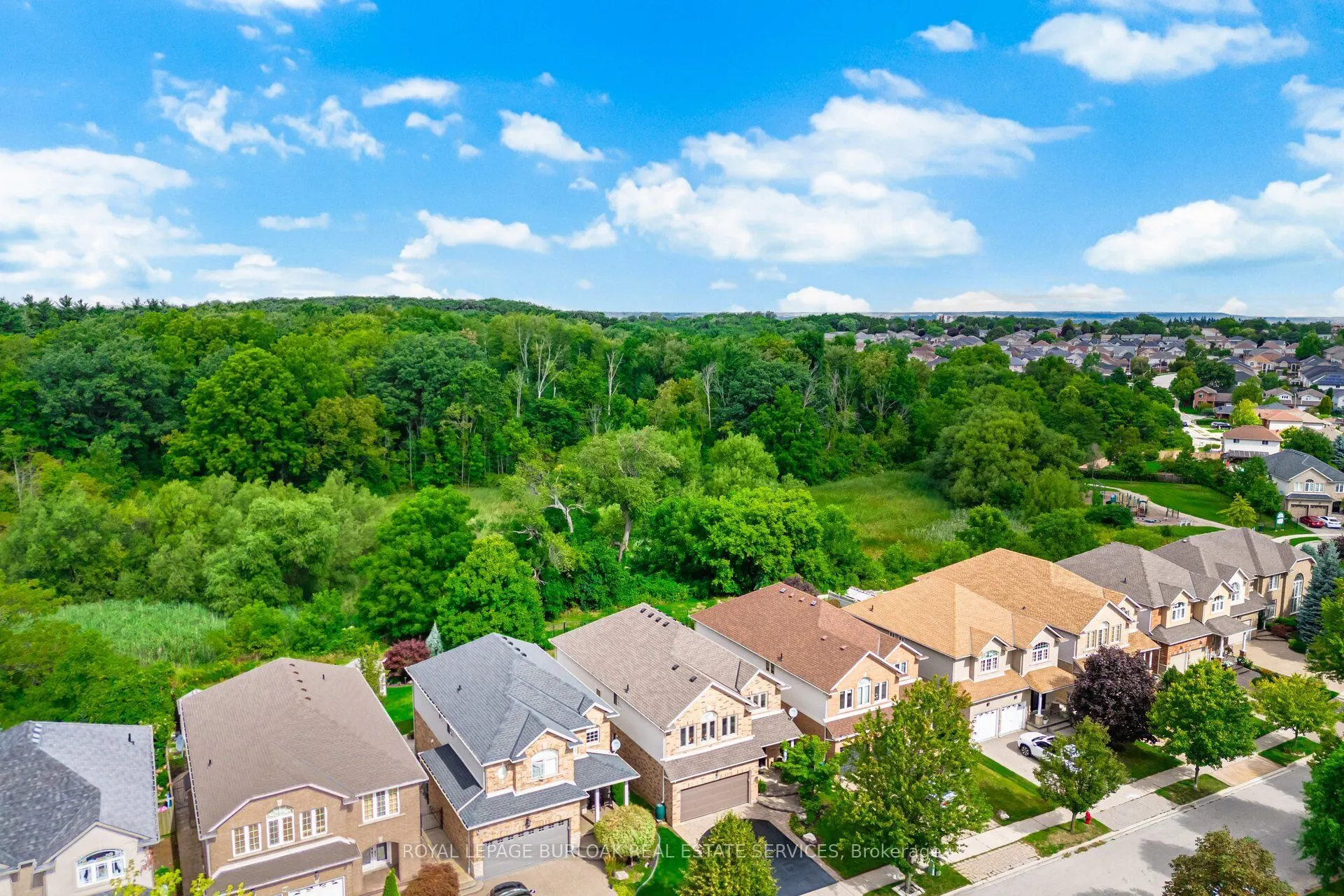 84 Meadowbank Drive