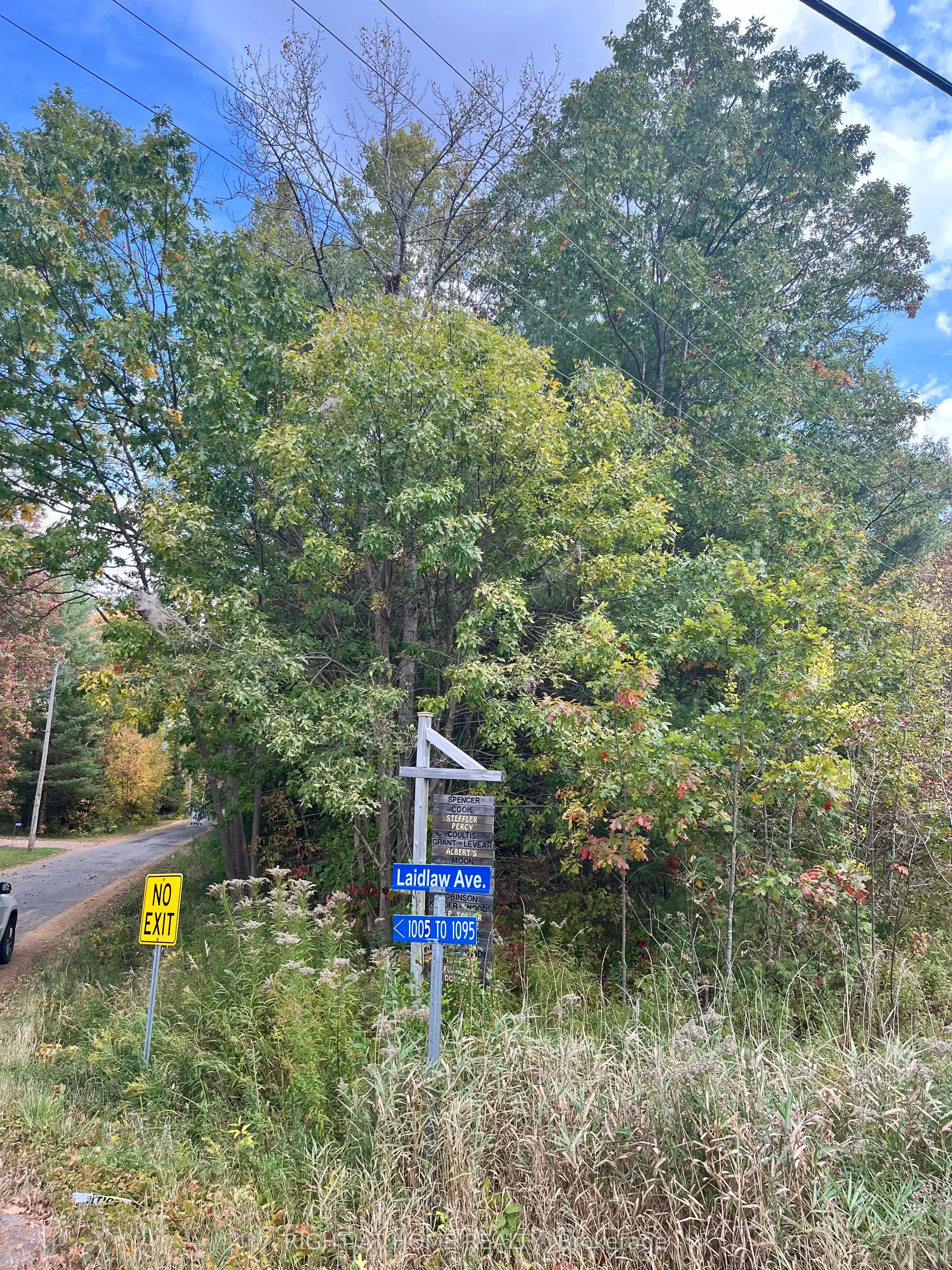 LT 17 LAIDLAW Avenue