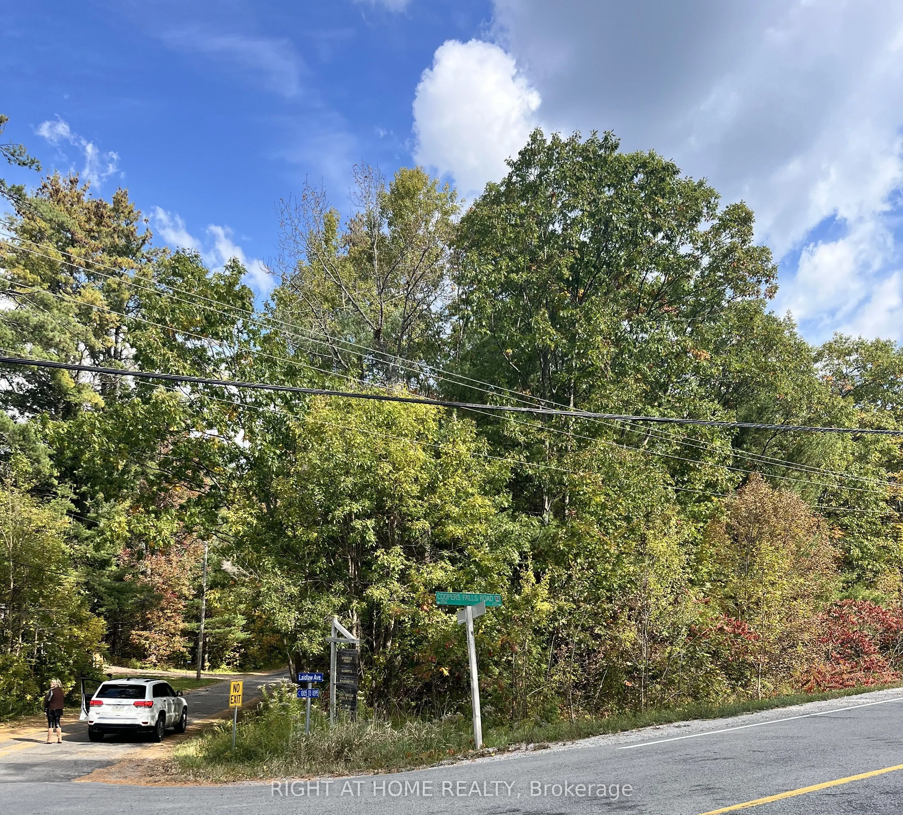 LT 17 LAIDLAW Avenue