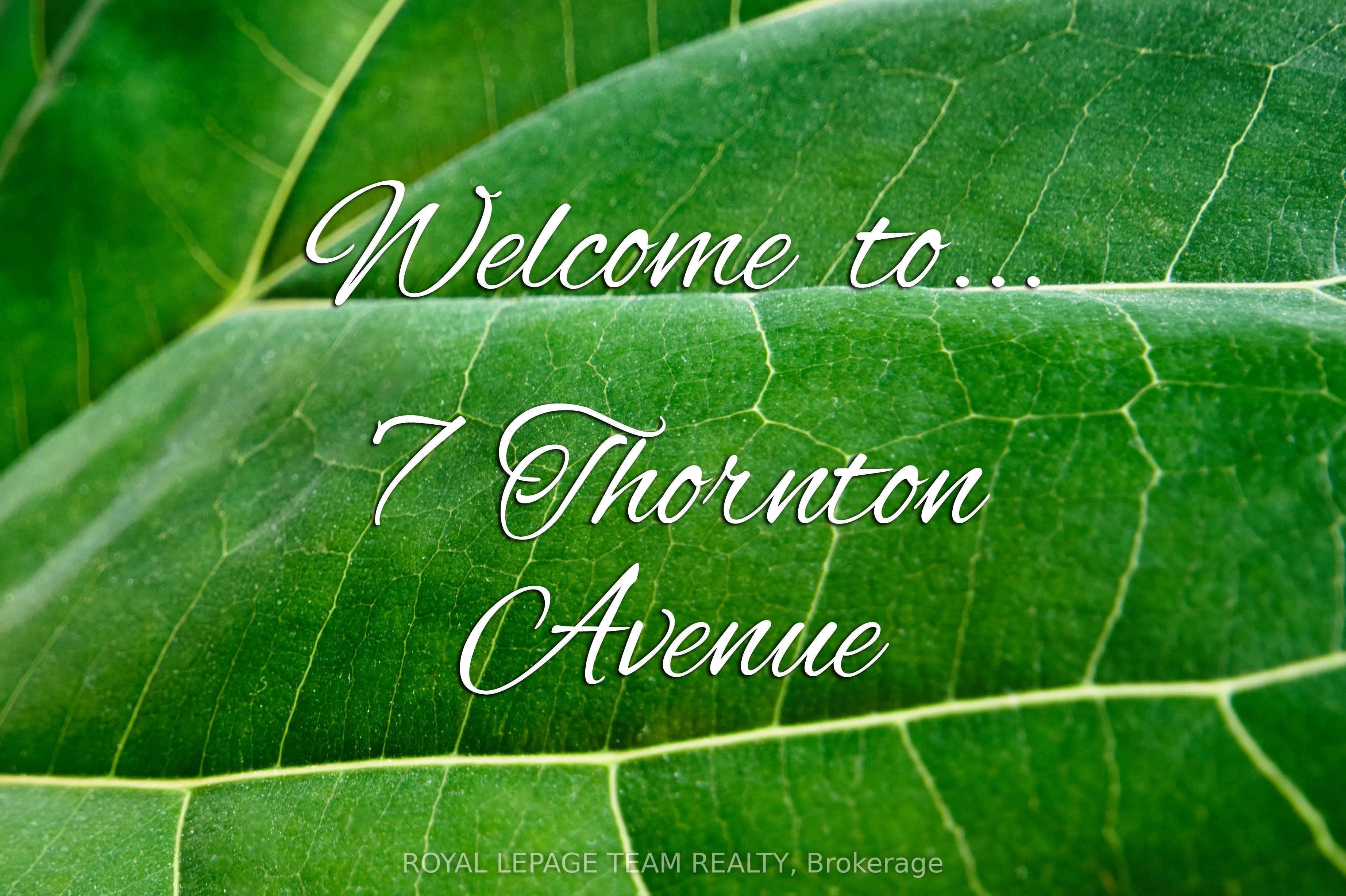7 Thornton Avenue