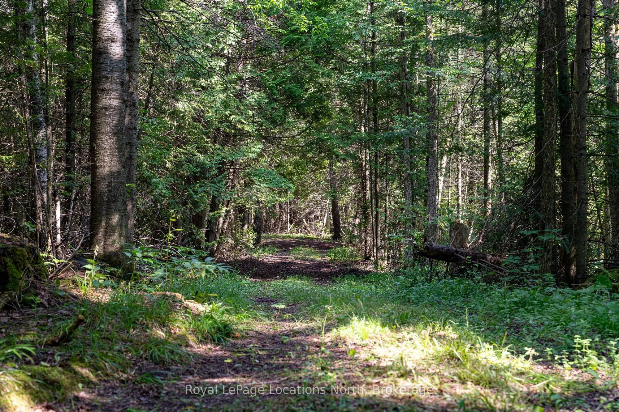 548037 3rd Side Road