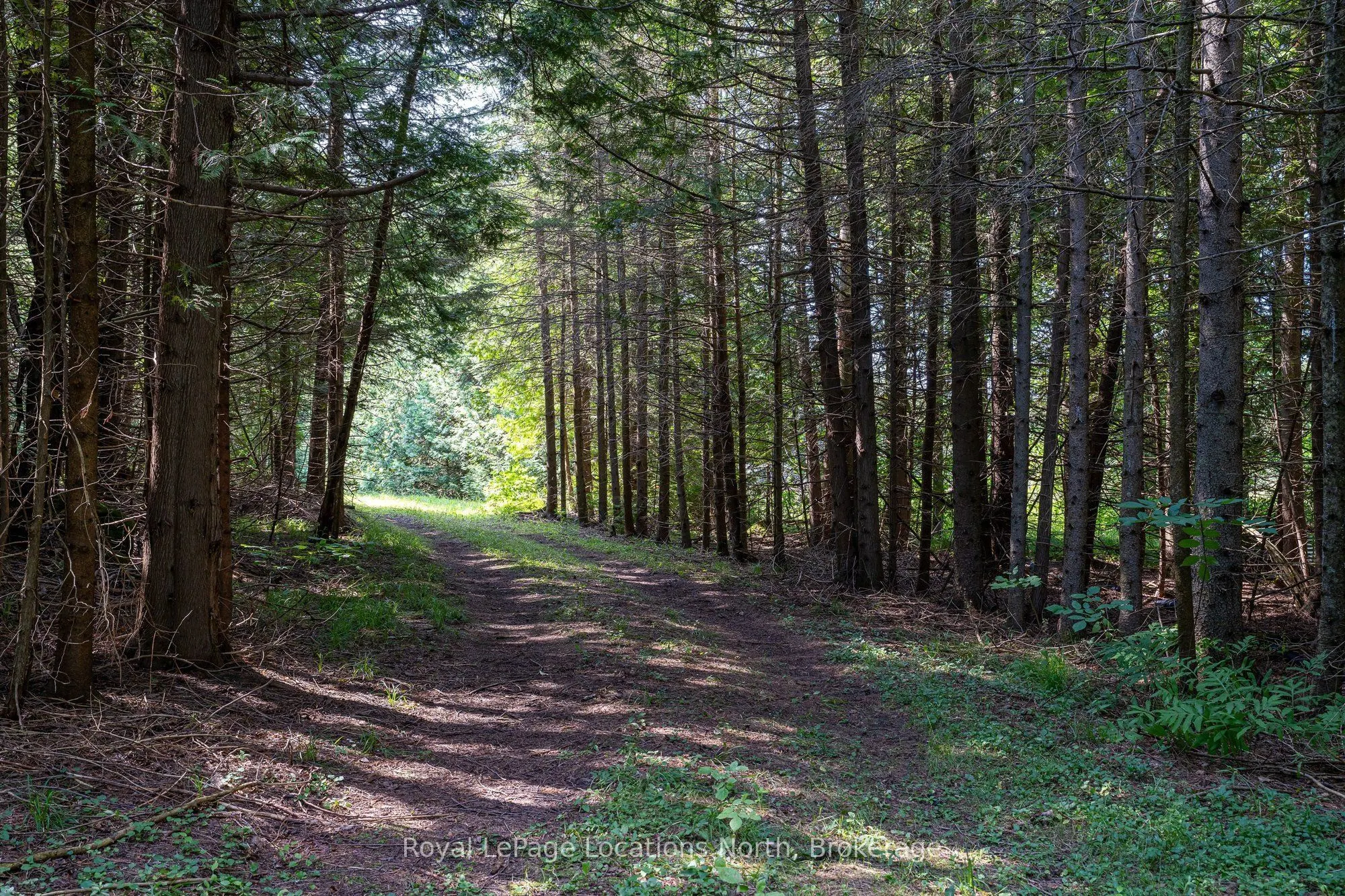 548037 3rd Side Road