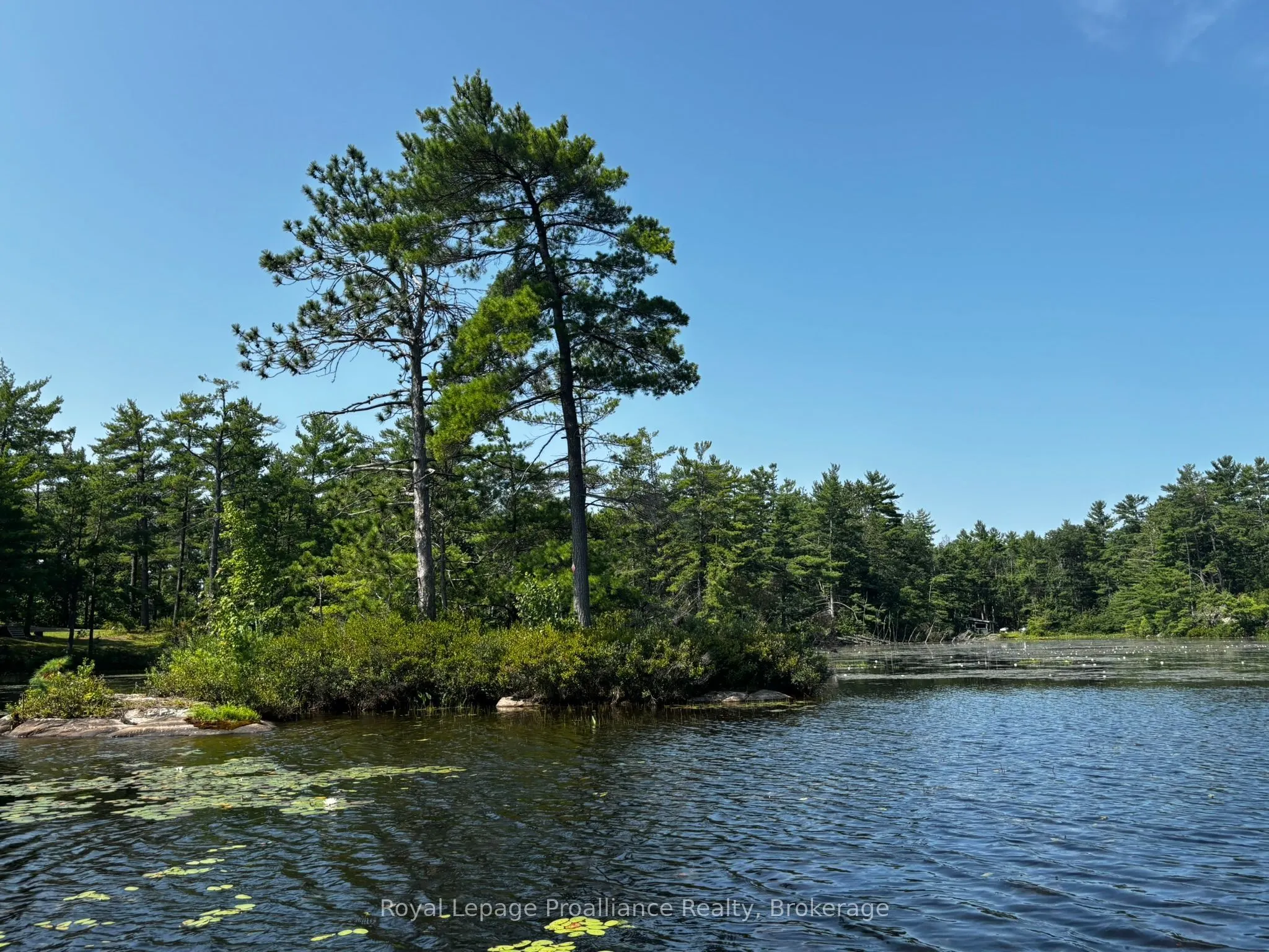 224 Fire Route 91