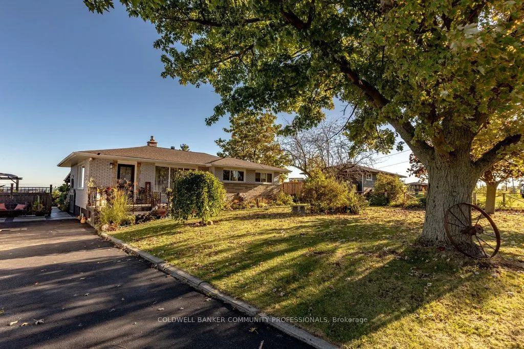 919 Ridge Road