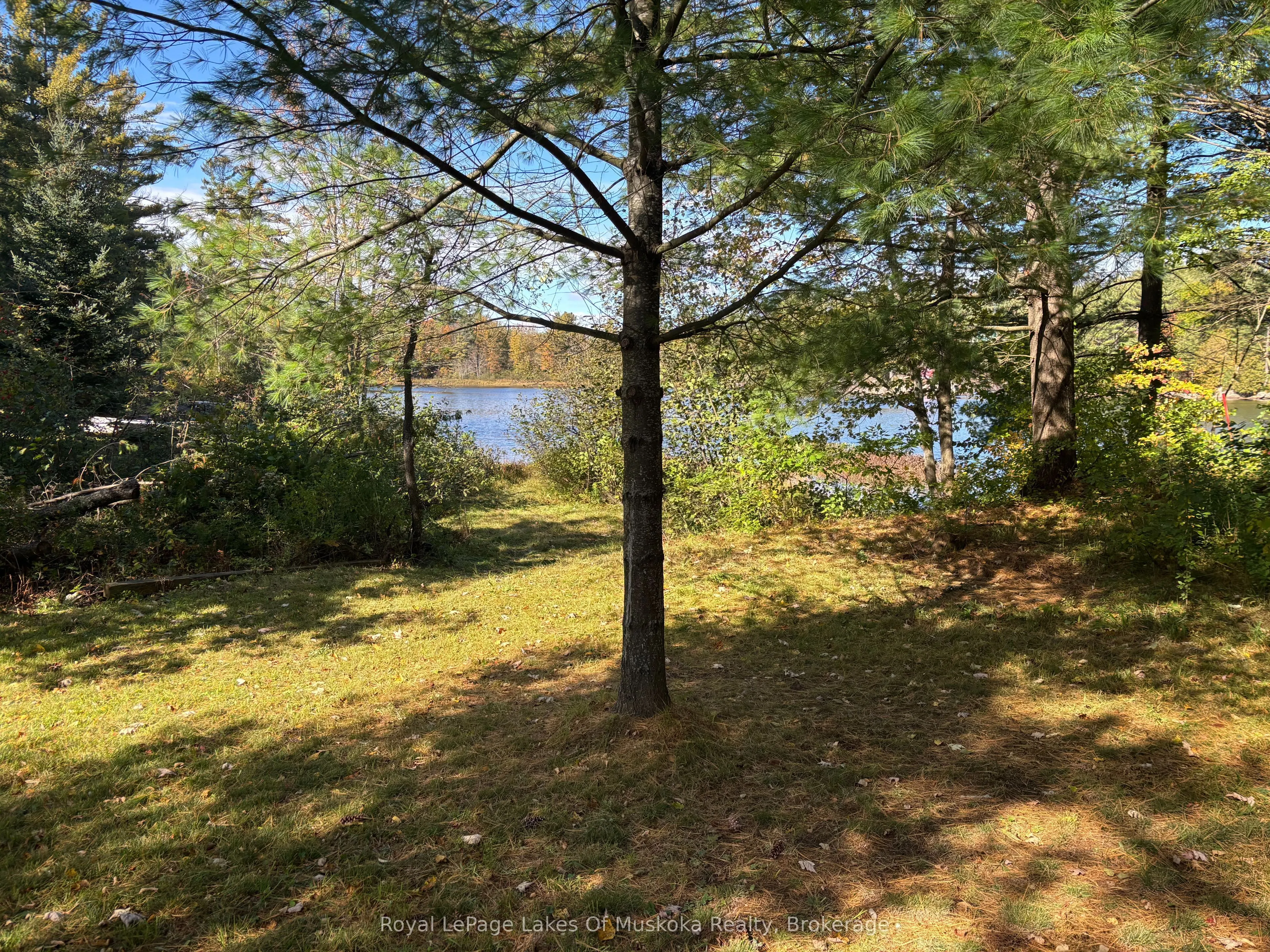 1345 HIGHWAY 118 EAST,
