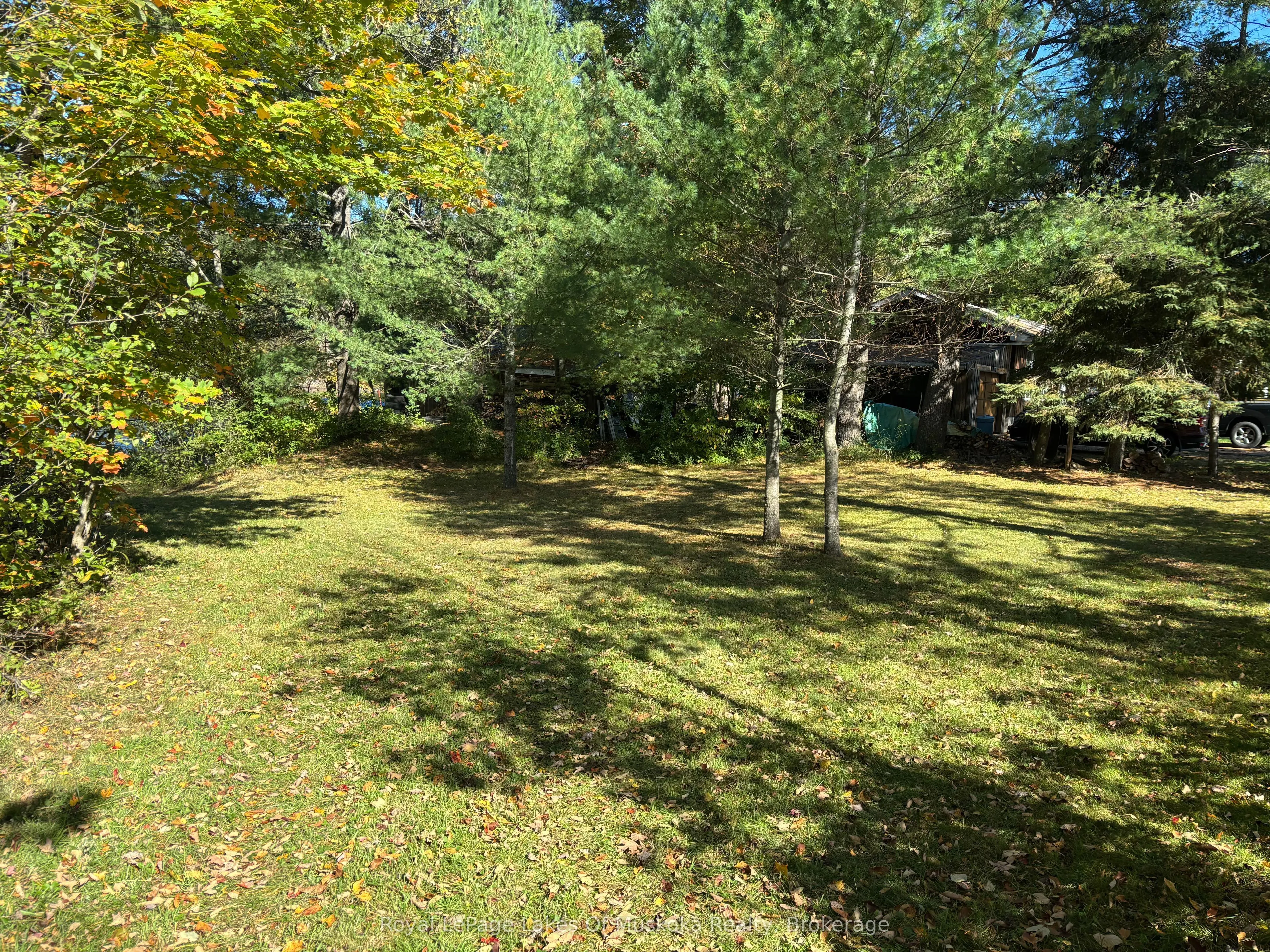 1345 HIGHWAY 118 EAST,