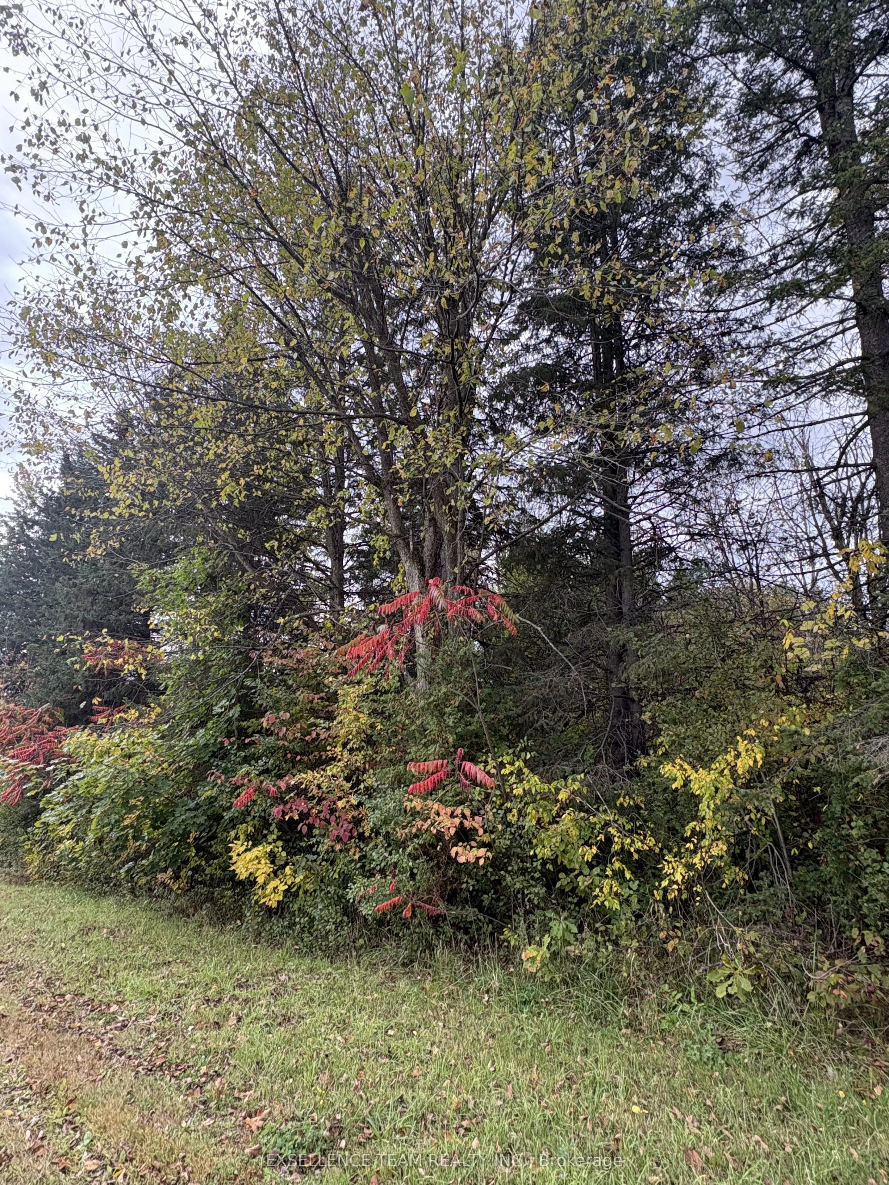 Glen Roy Rd Road