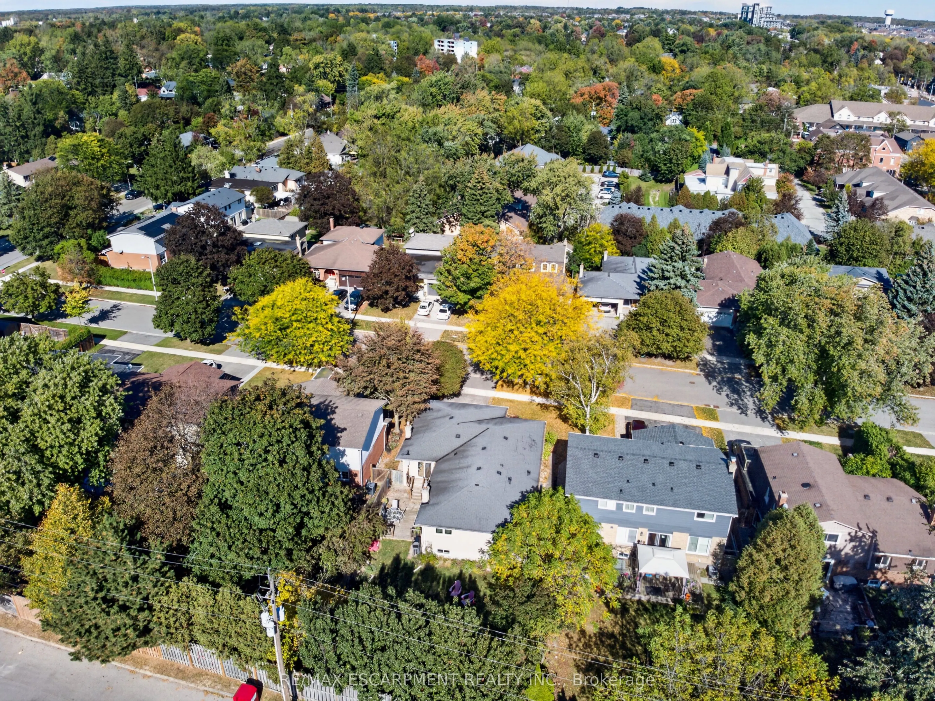 7 Fern Avenue