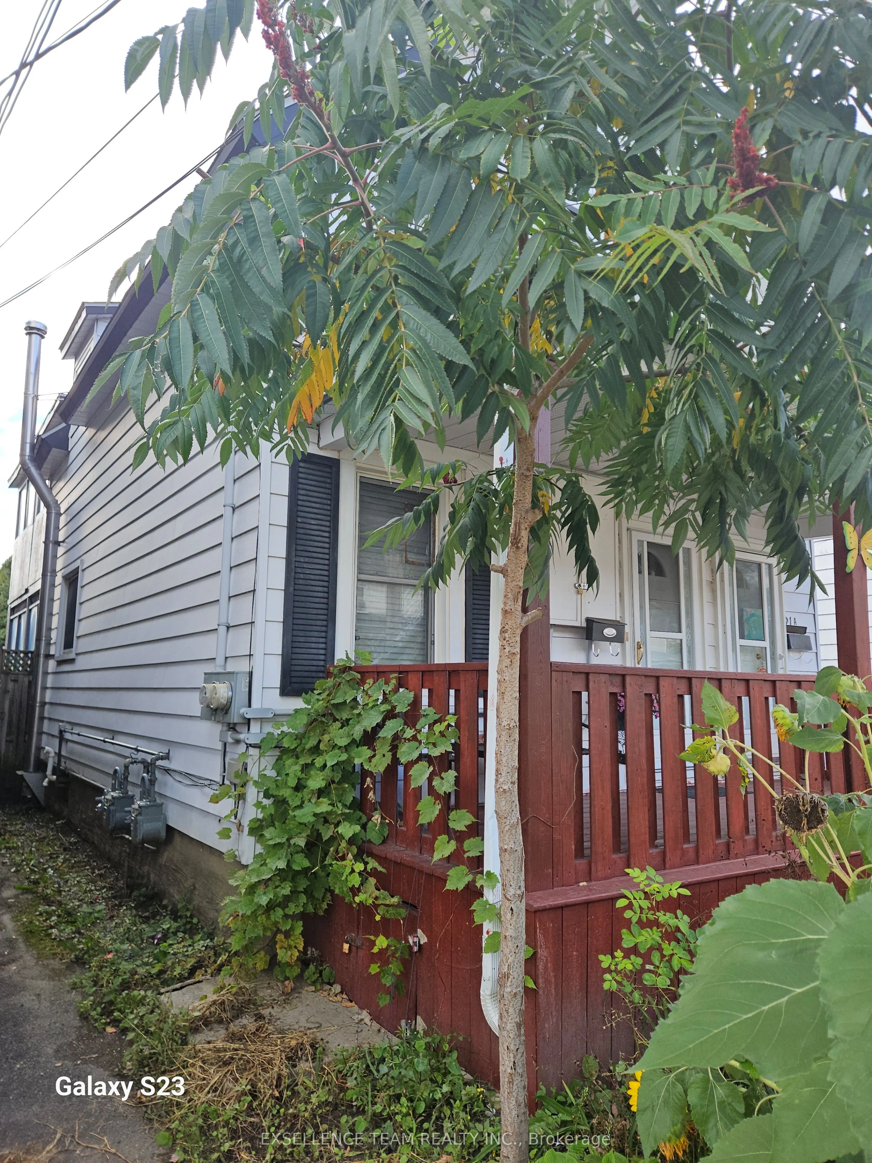 21 Arthur Street