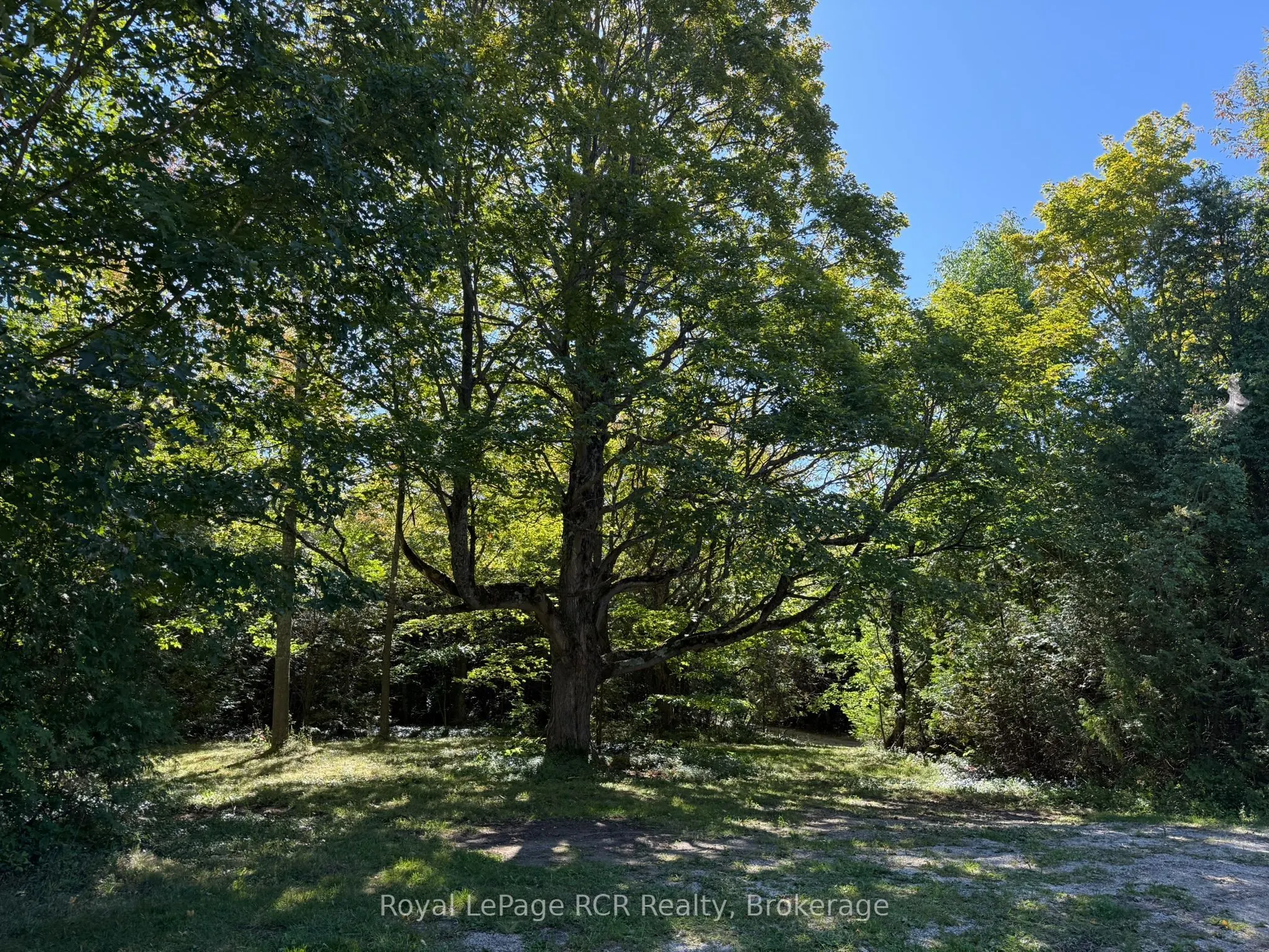 204470 Highway 26