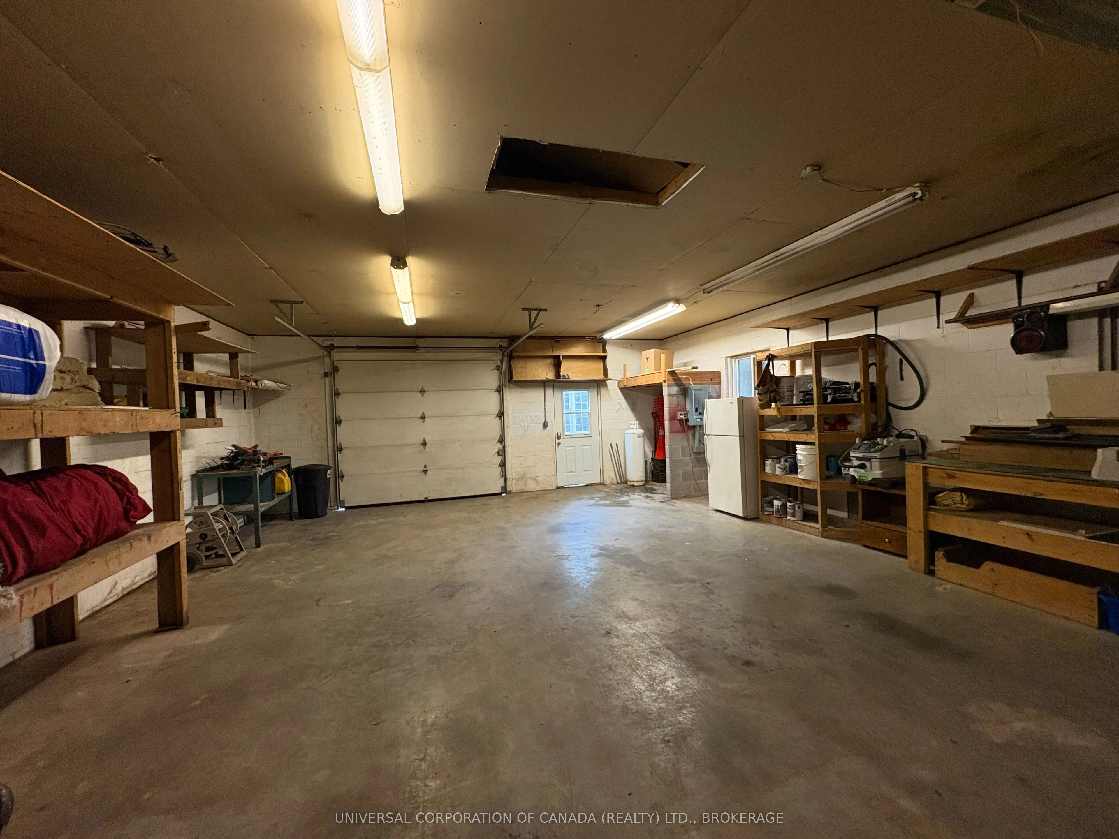 97 Chesley Avenue