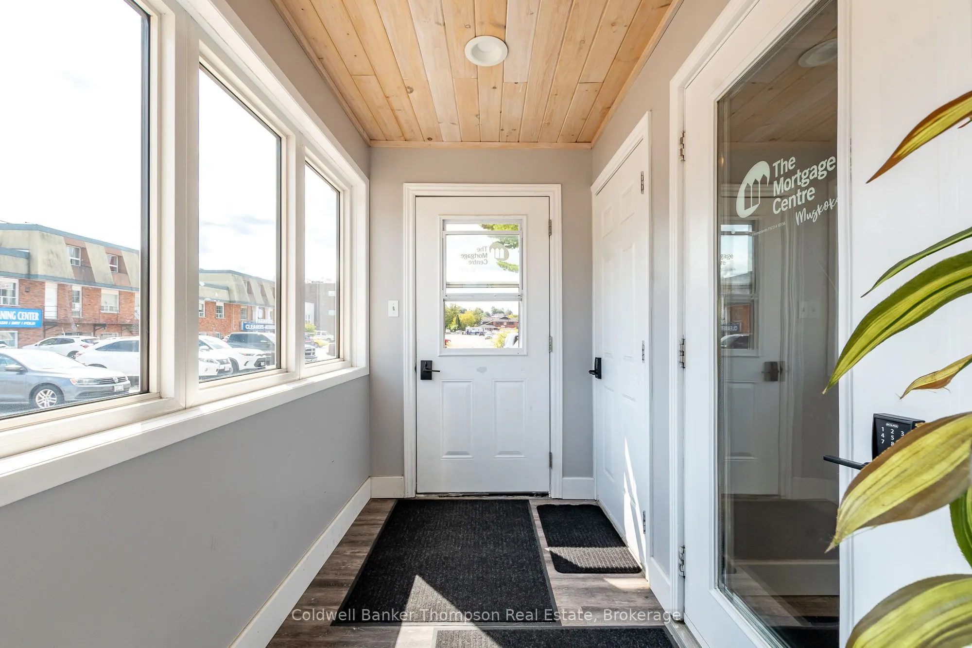 7 Chaffey Street