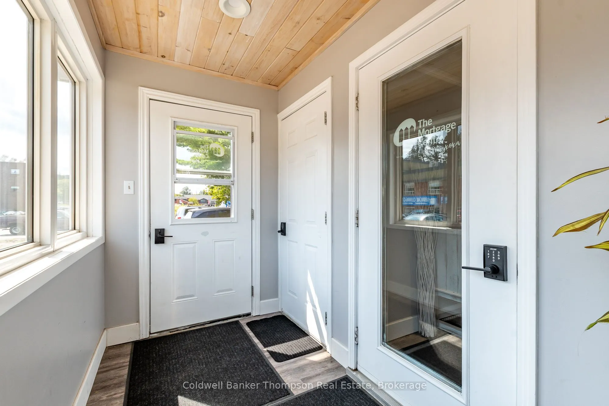 7 Chaffey Street