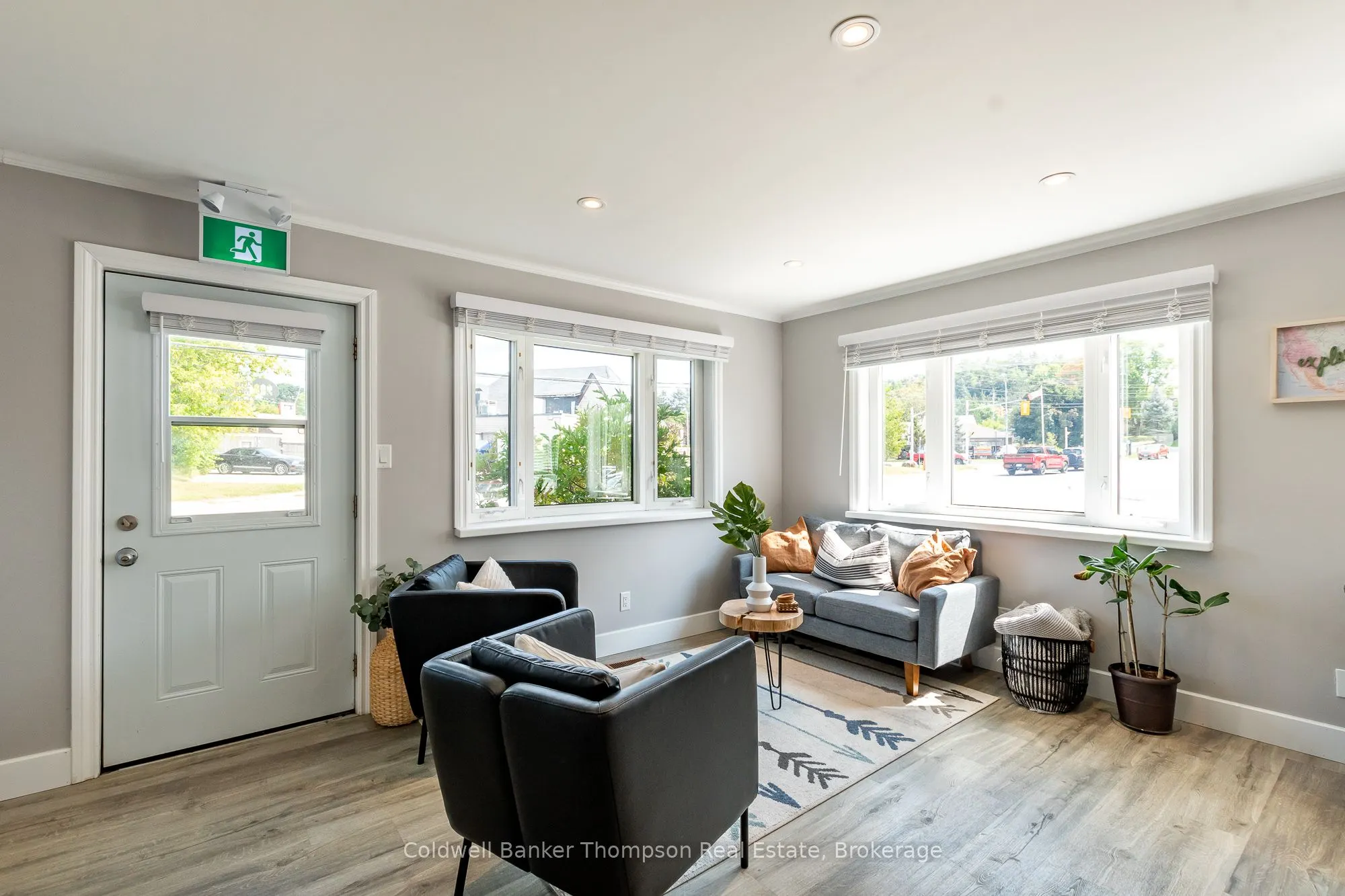 7 Chaffey Street