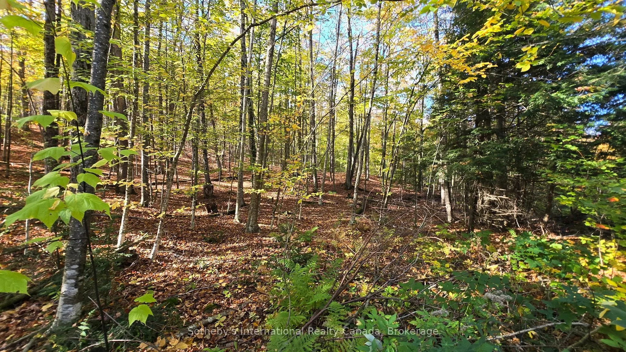0 Mink Lot 17 Road