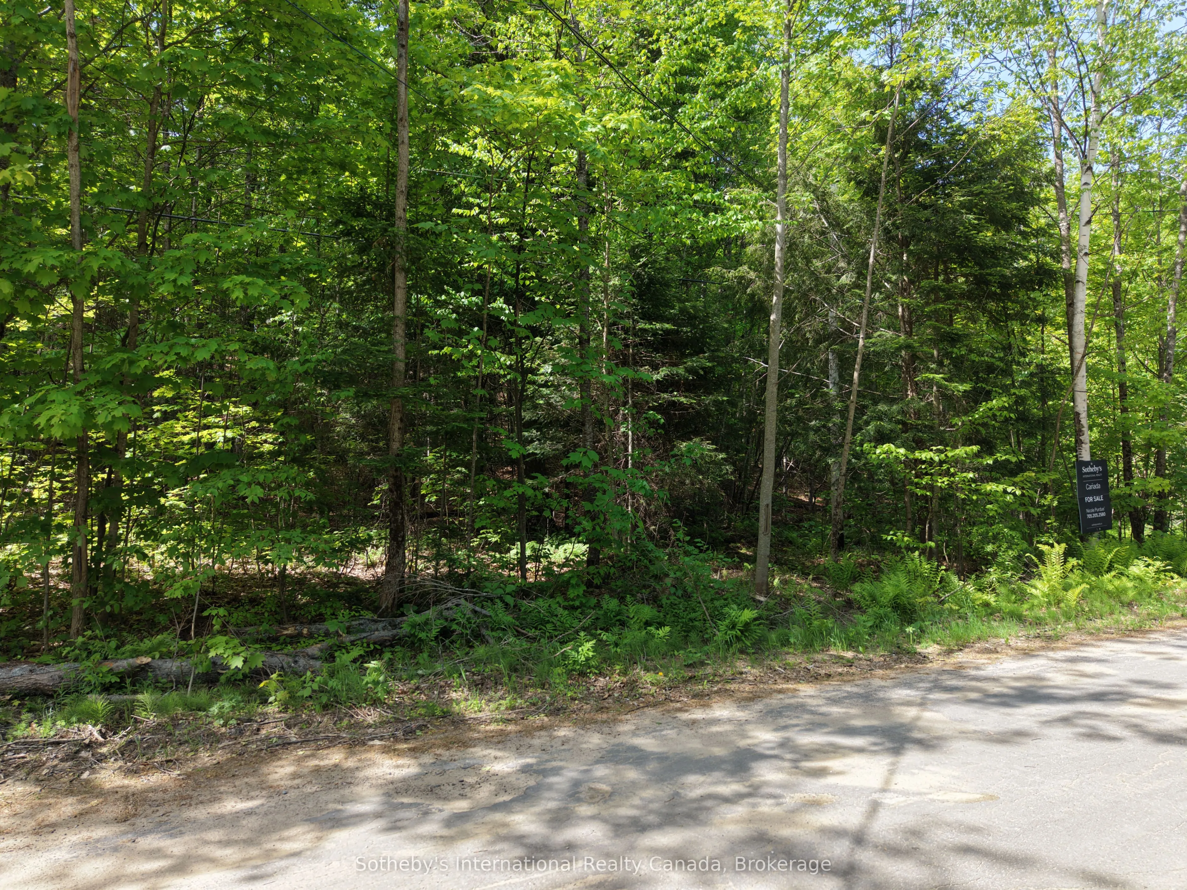 0 Mink Lot 17 Road