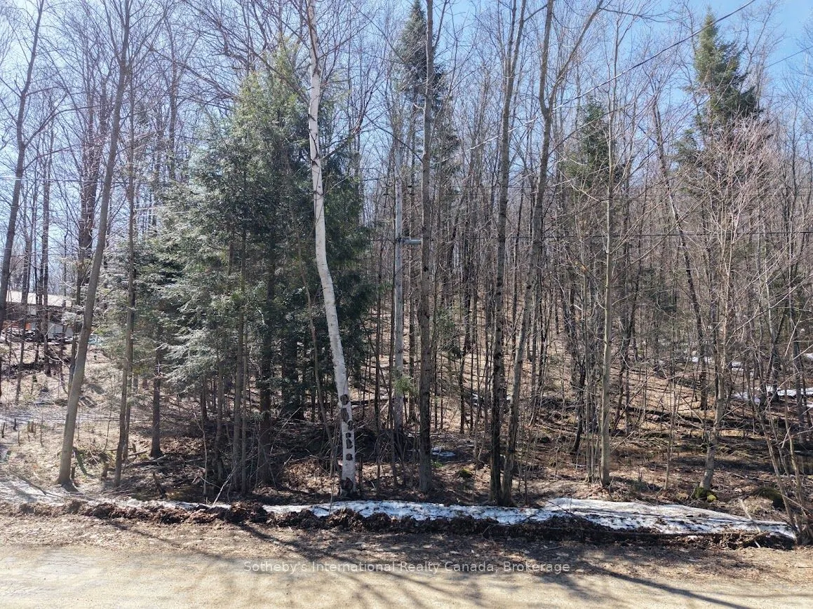 0 Mink Lot 17 Road