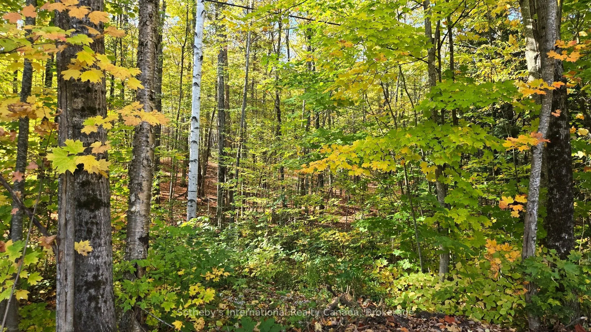0 Mink Lot 17 Road