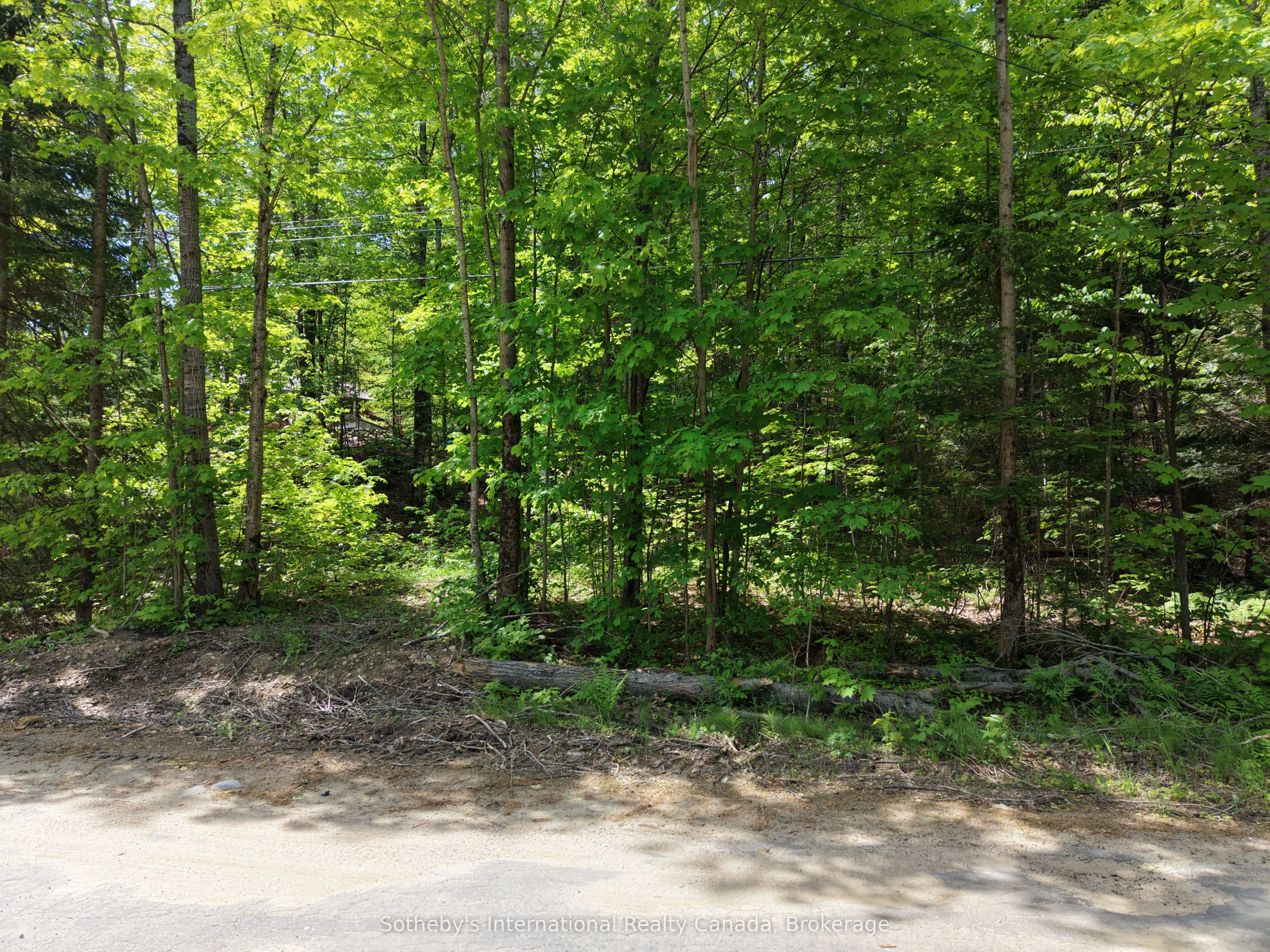 0 Mink Lot 17 Road